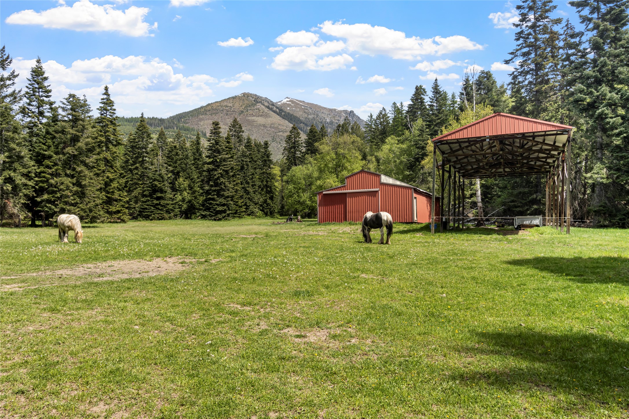 13034 Red Owl Trail Property Photo 21
