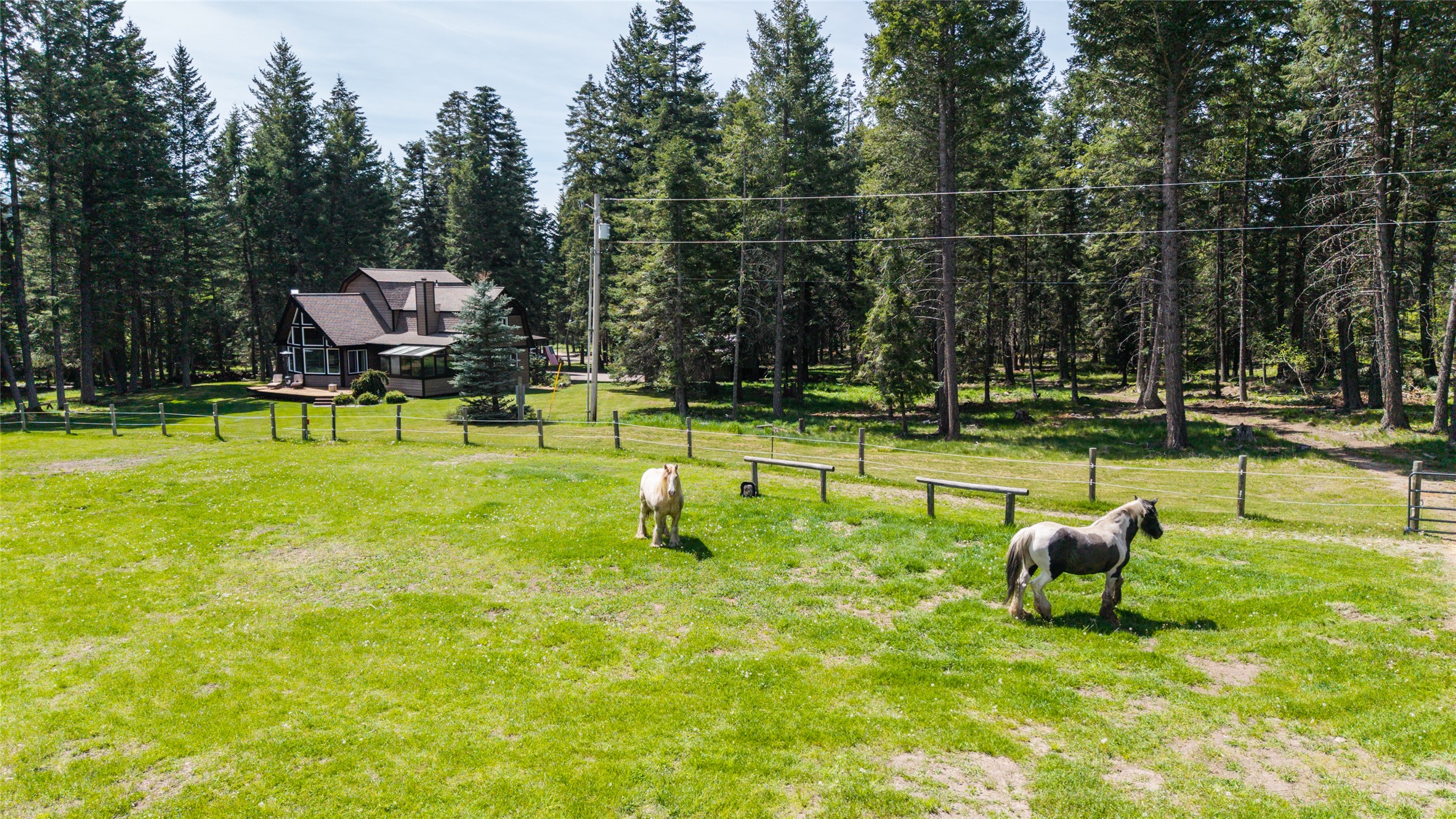 13034 Red Owl Trail Property Photo 23