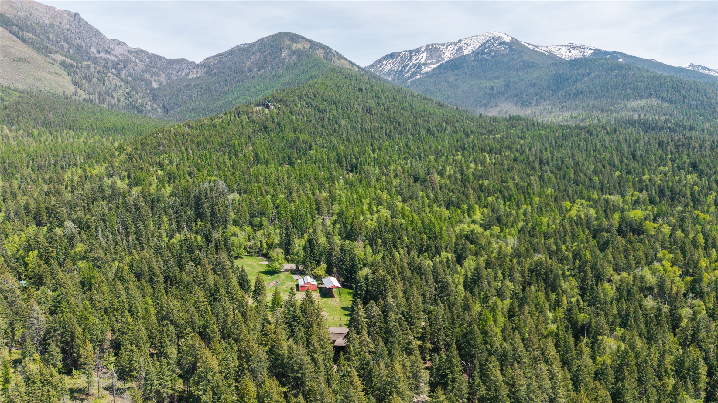 13034 Red Owl Trail Property Photo 27