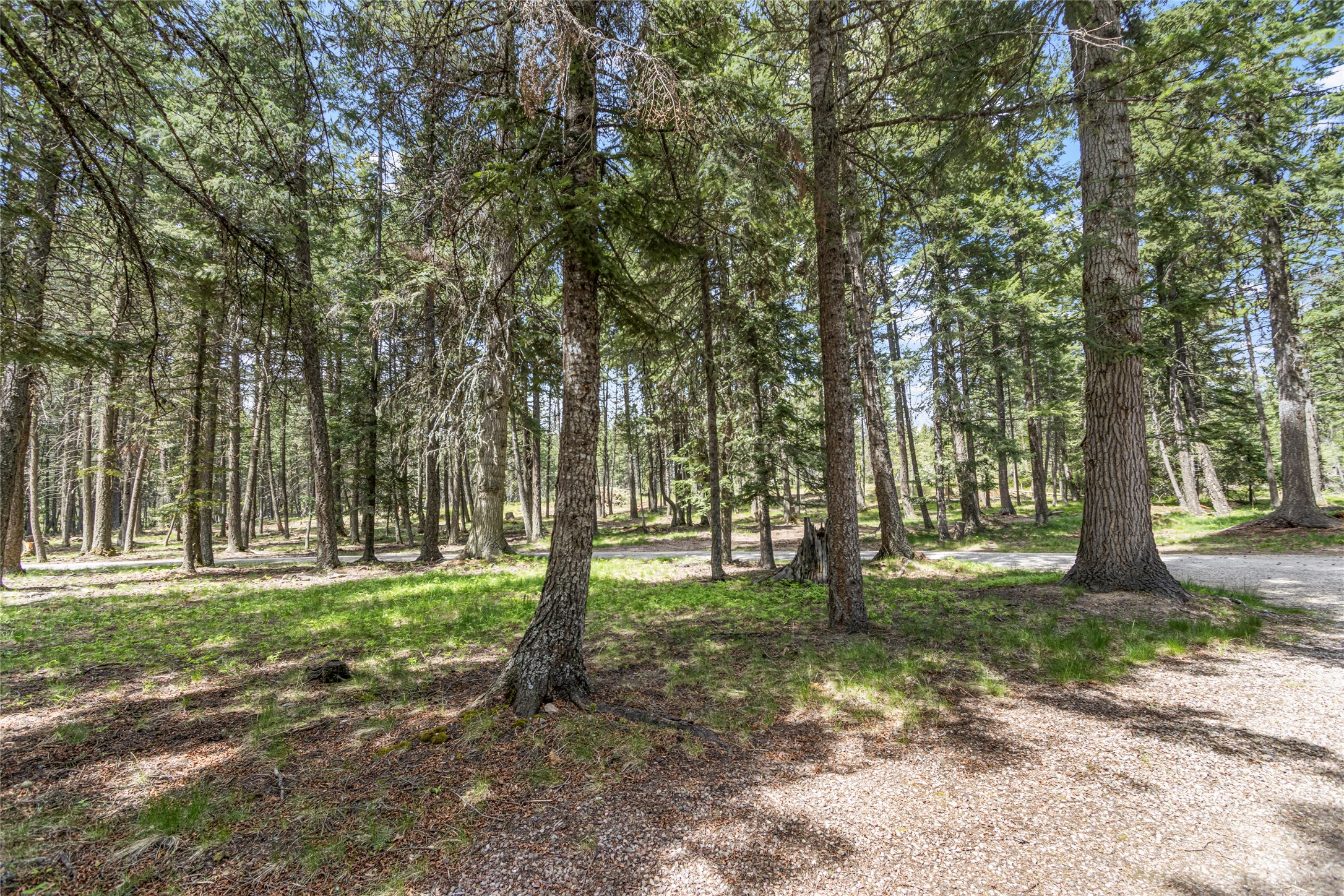 13034 Red Owl Trail Property Photo 31