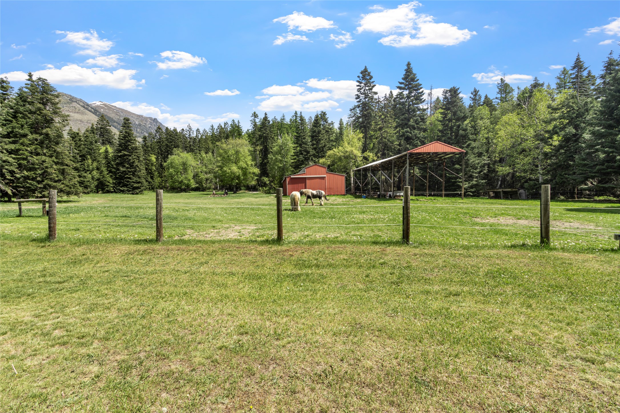 13034 Red Owl Trail Property Photo 50
