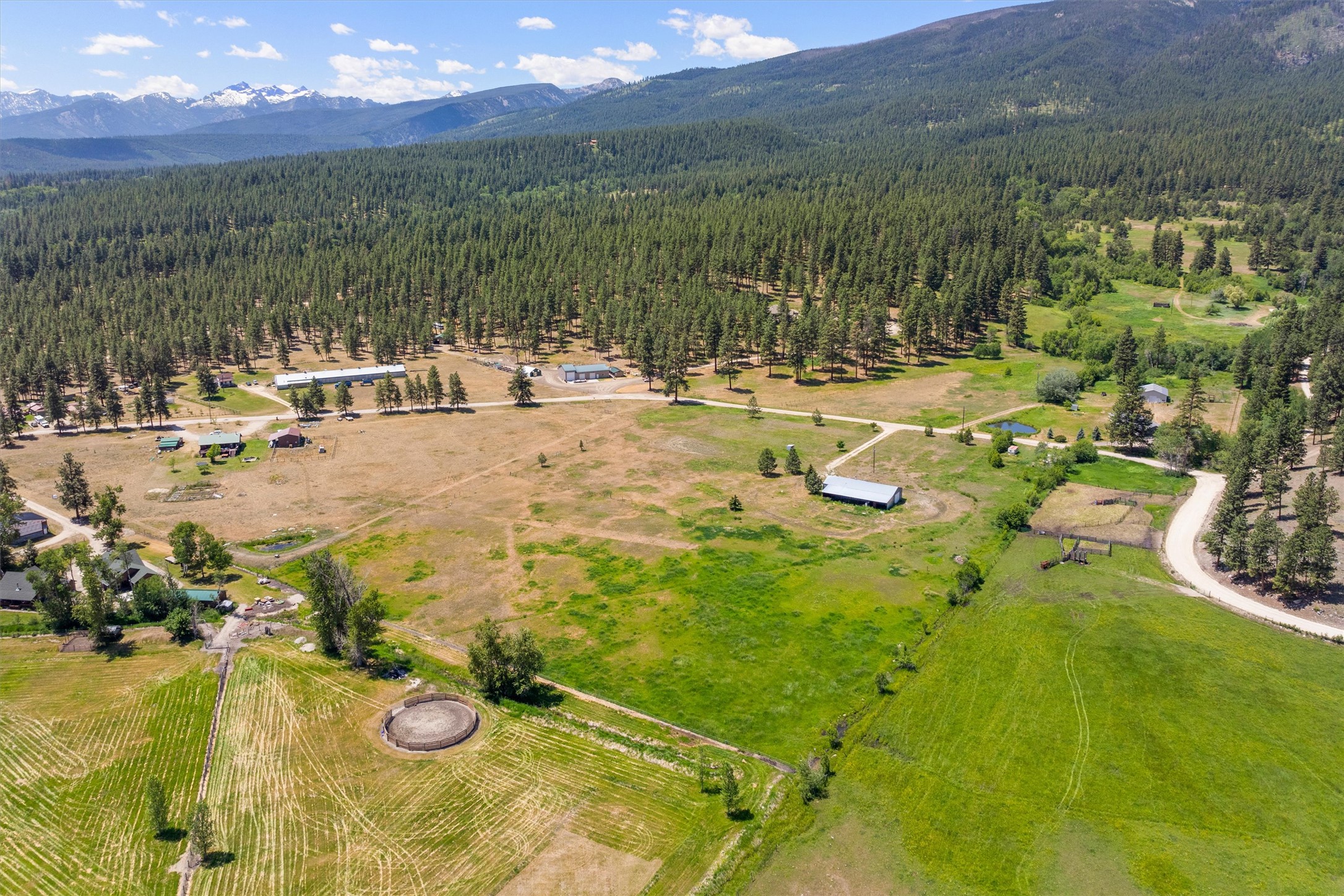 643 Gold Creek Loop Property Photo 2