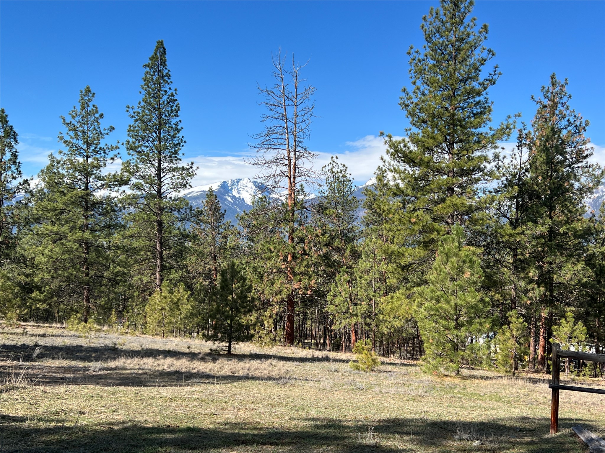 577 El Capitan Loop Property Photo 3
