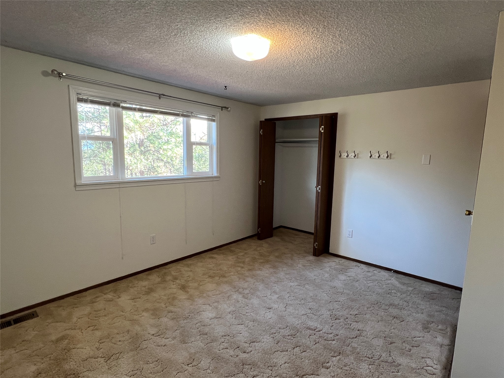 577 El Capitan Loop Property Photo 18