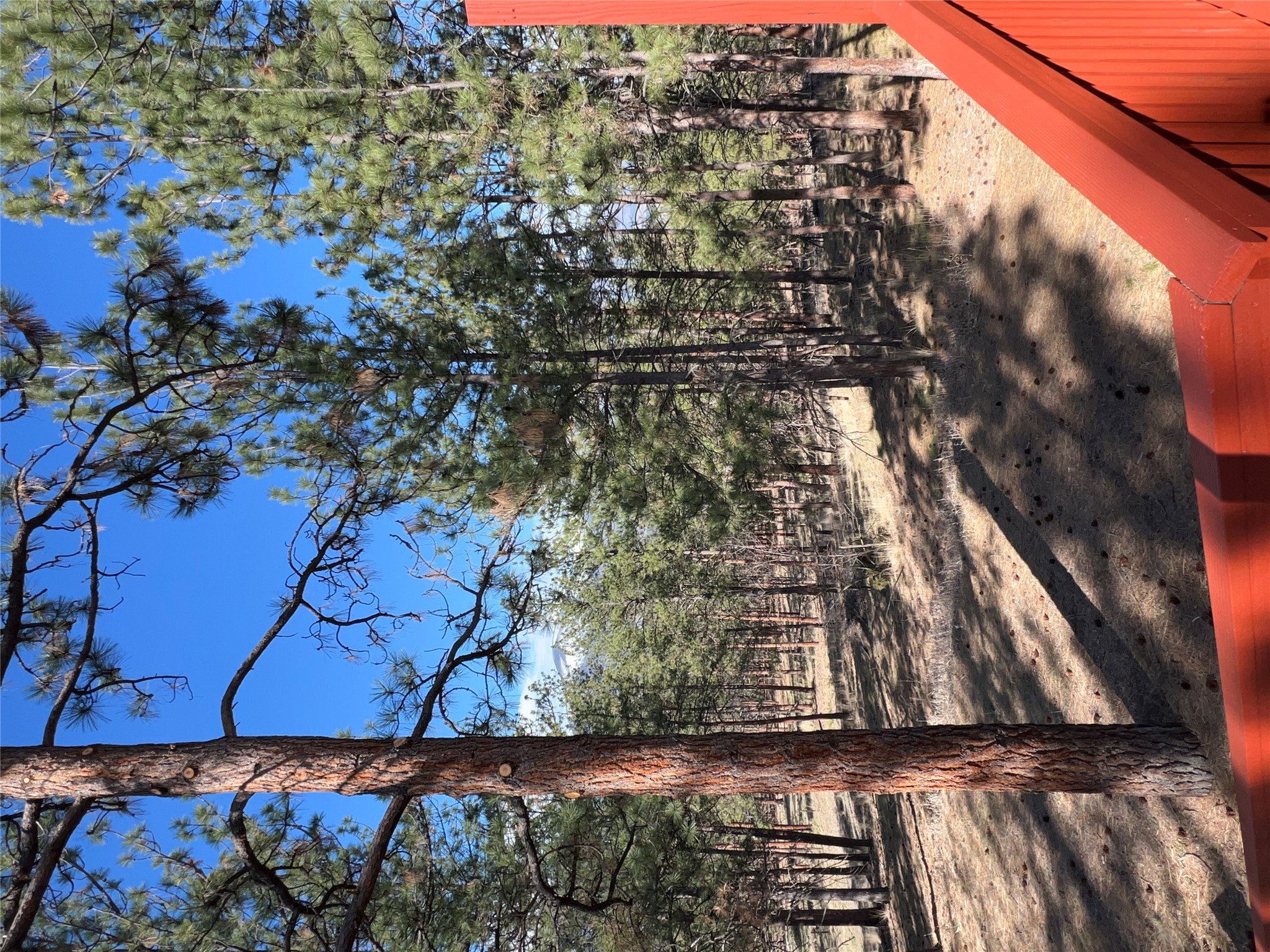 577 El Capitan Loop Property Photo 30