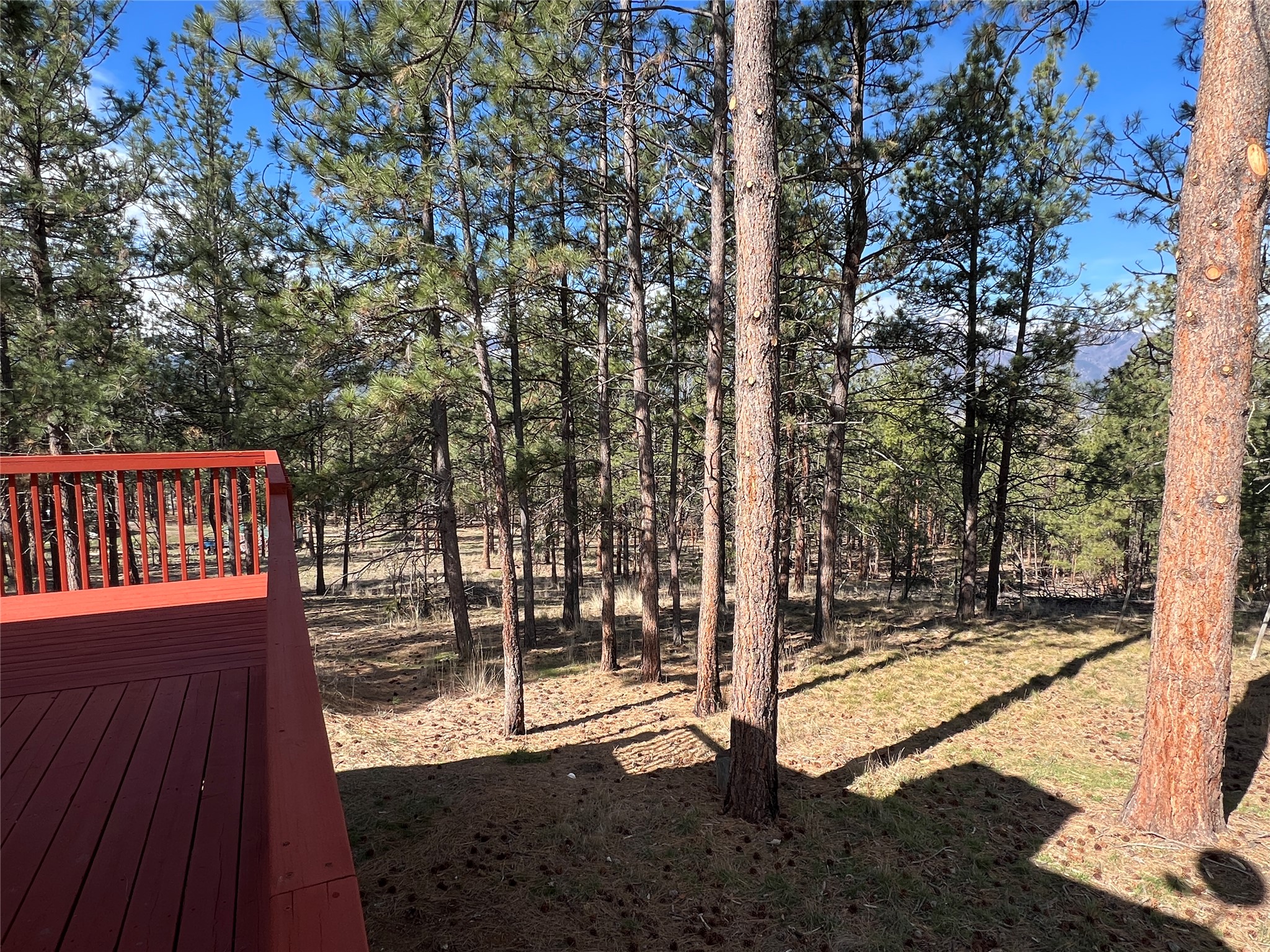 577 El Capitan Loop Property Photo 31