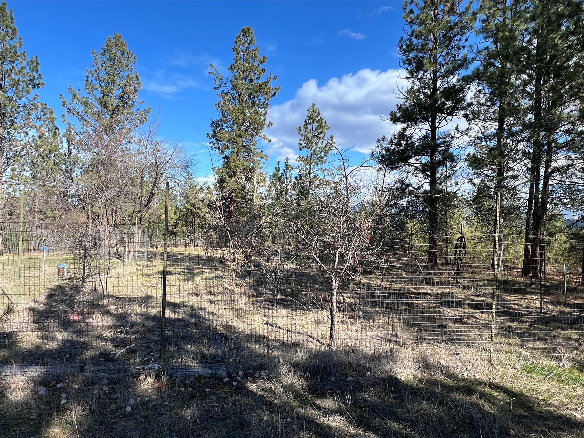 577 El Capitan Loop Property Photo 38