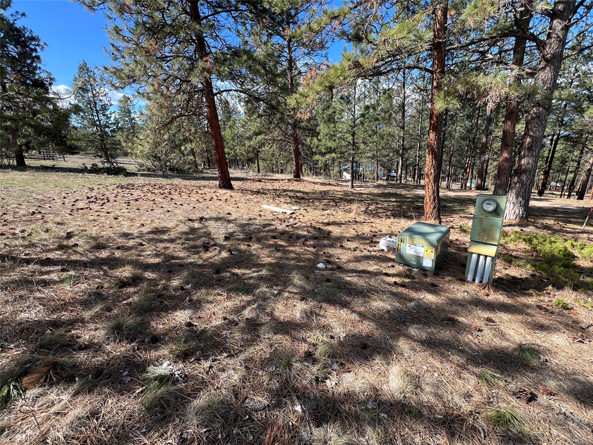 577 El Capitan Loop Property Photo 39