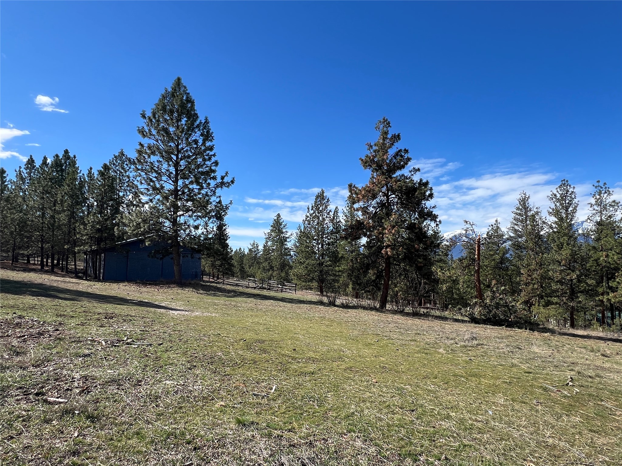 577 El Capitan Loop Property Photo 41