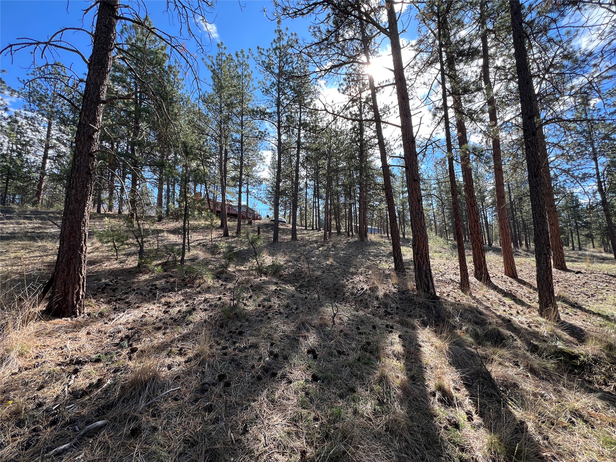 577 El Capitan Loop Property Photo 42