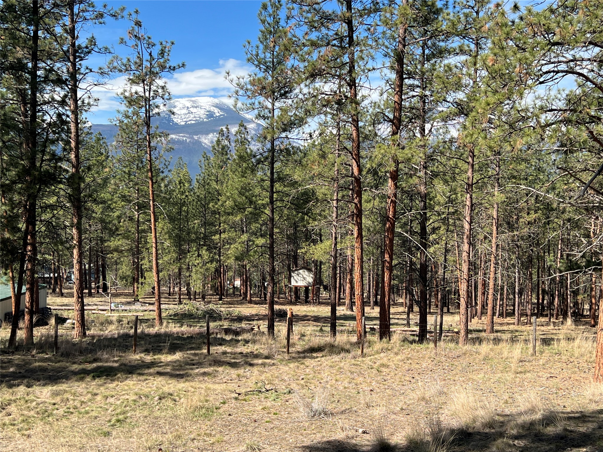 577 El Capitan Loop Property Photo 43