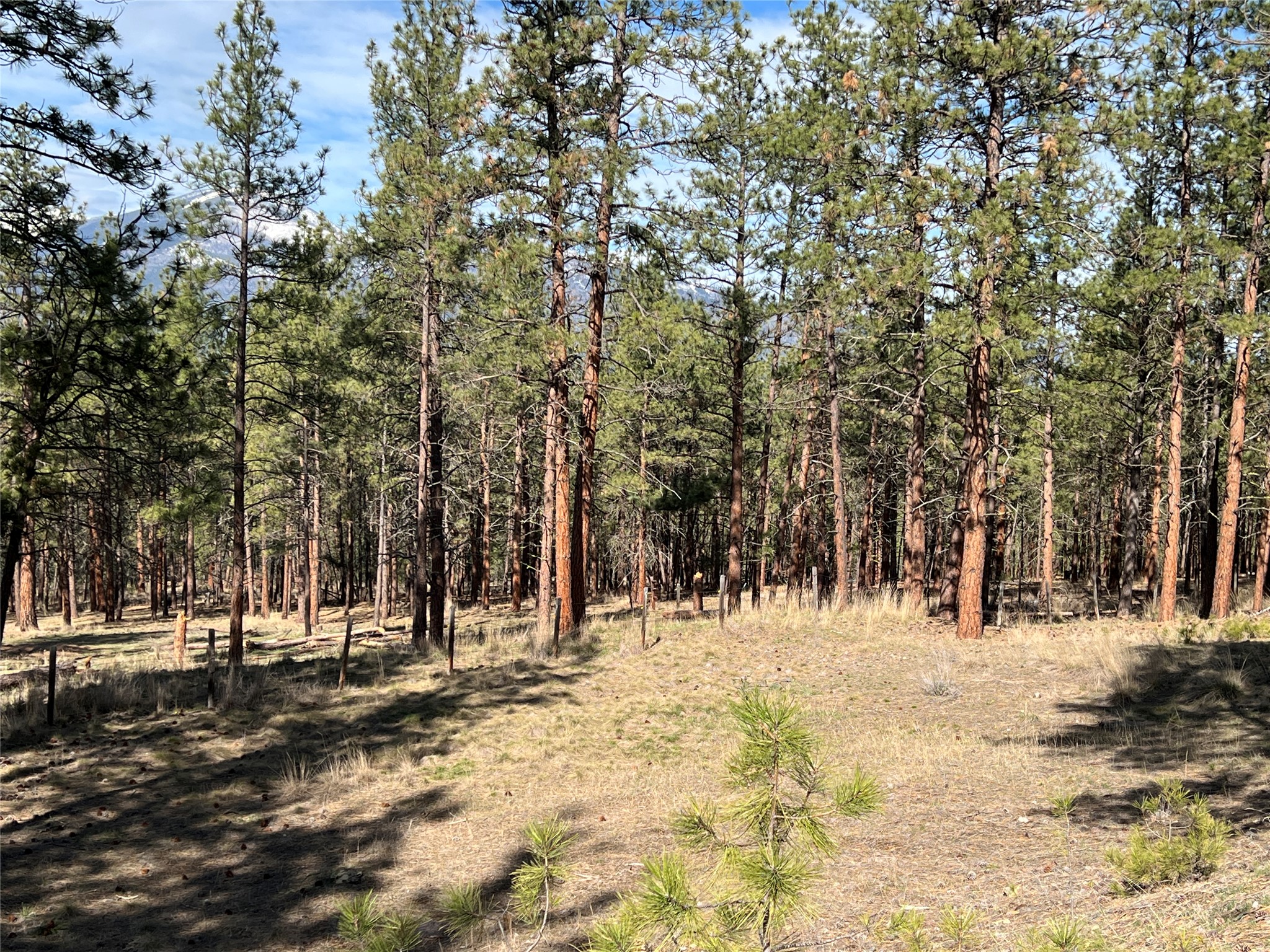 577 El Capitan Loop Property Photo 44