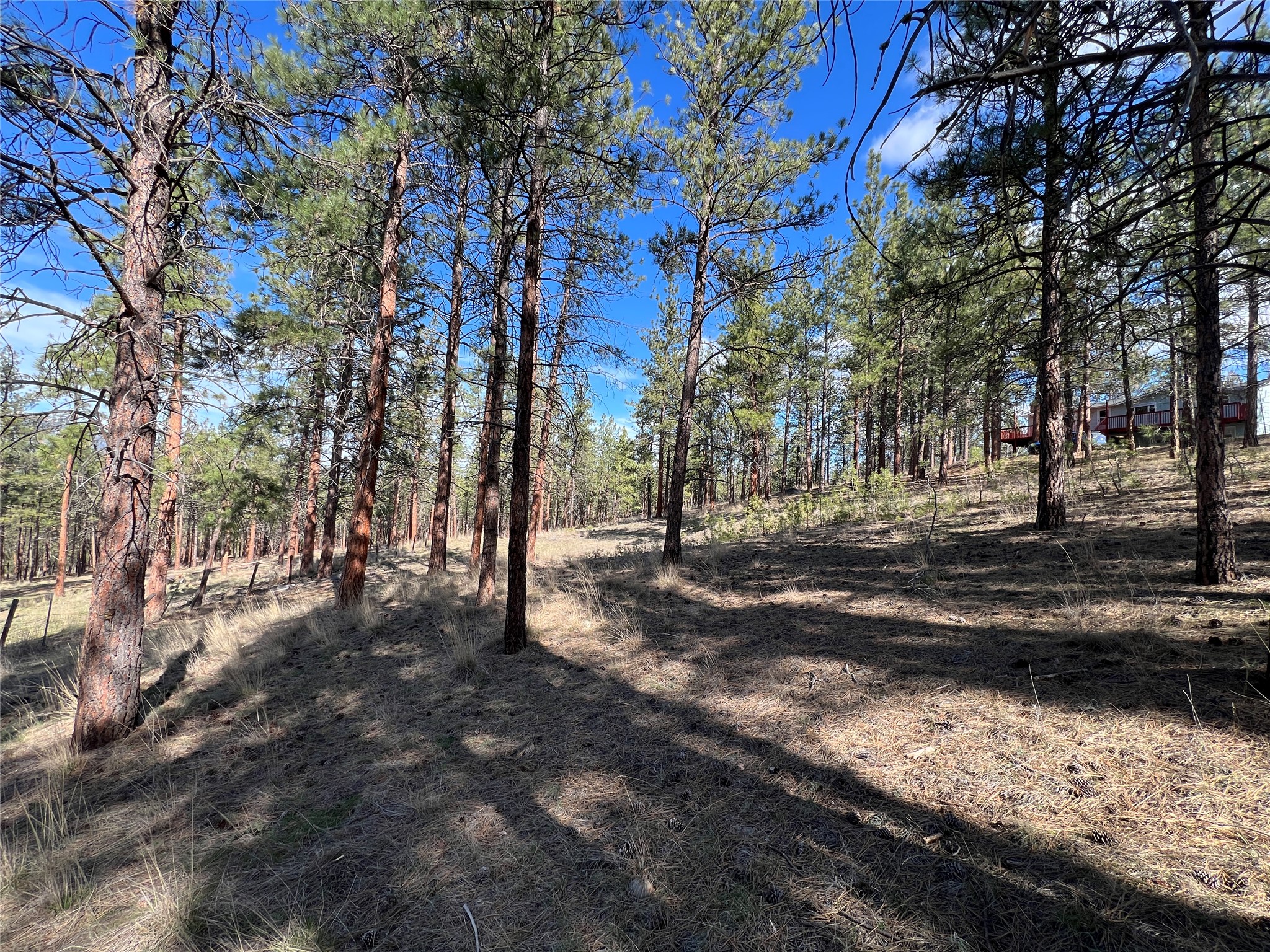 577 El Capitan Loop Property Photo 45