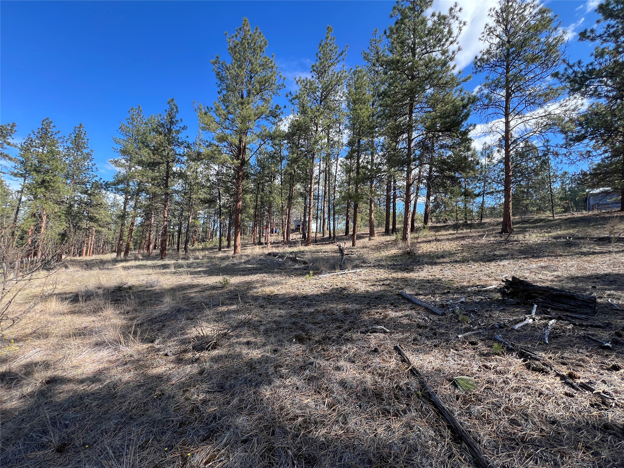 577 El Capitan Loop Property Photo 46