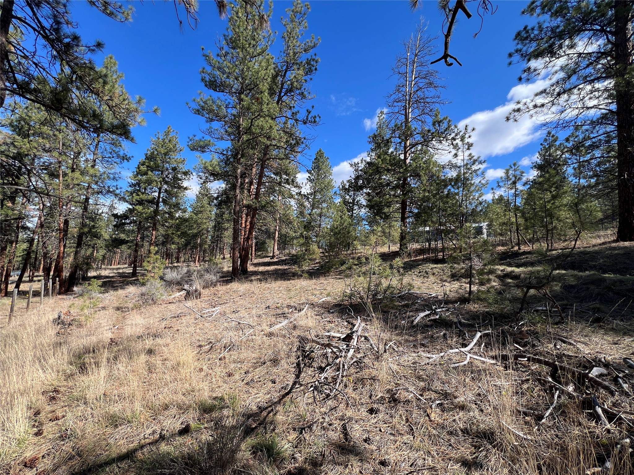 577 El Capitan Loop Property Photo 47