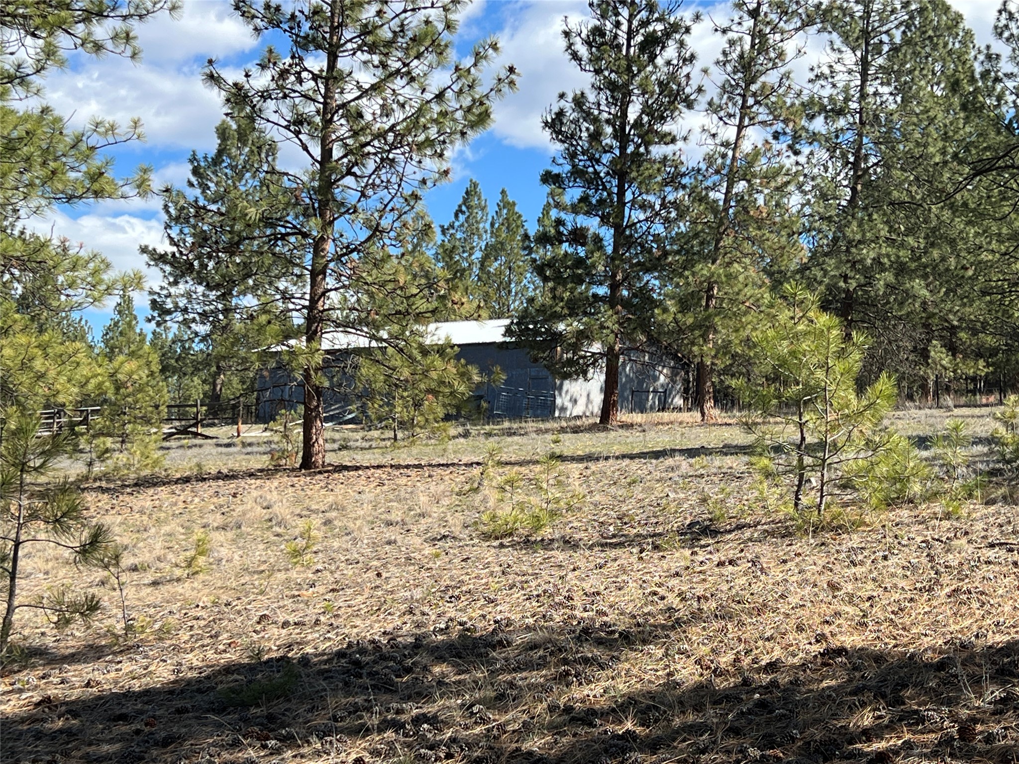 577 El Capitan Loop Property Photo 48