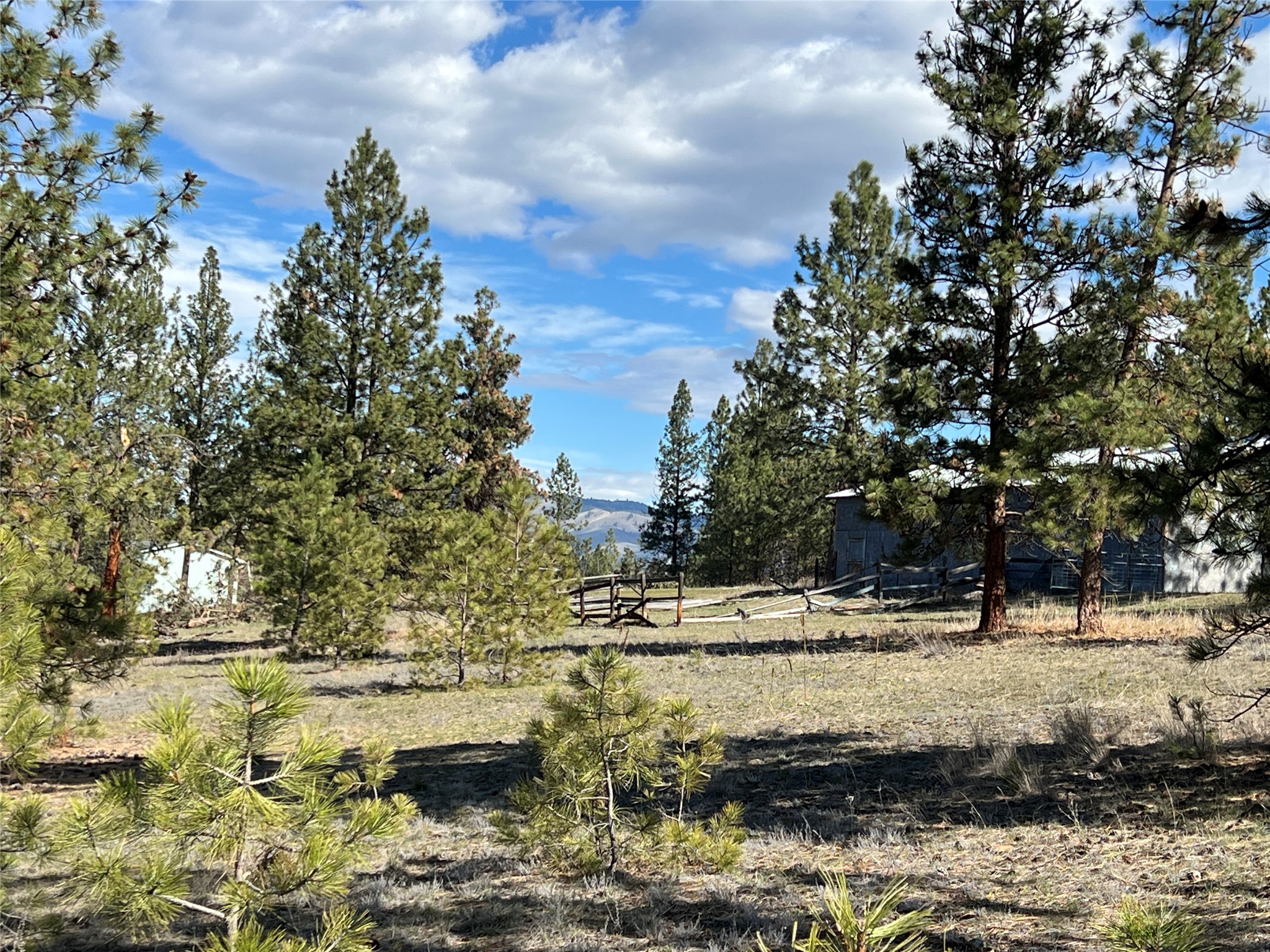 577 El Capitan Loop Property Photo 49