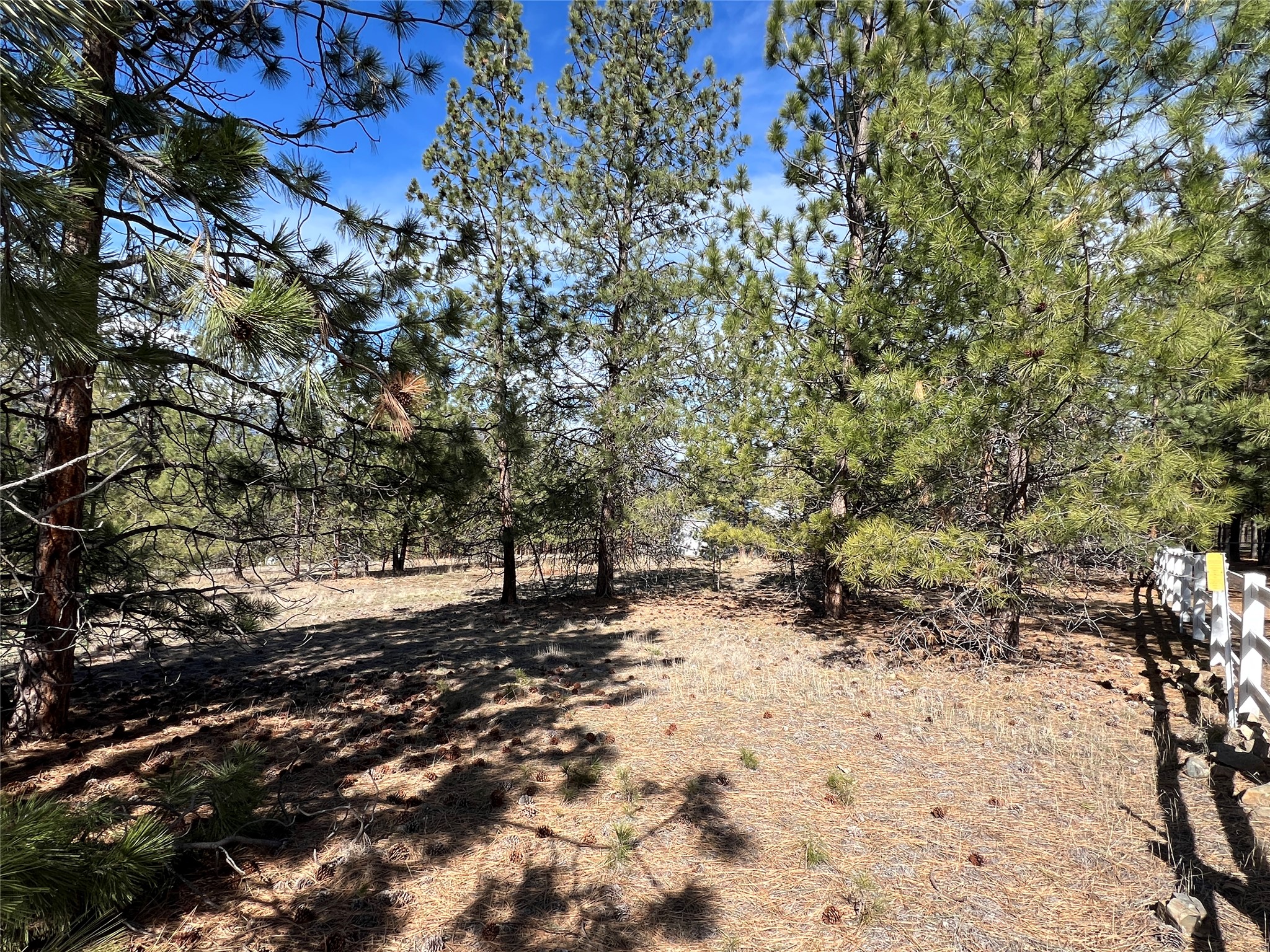 577 El Capitan Loop Property Photo 50