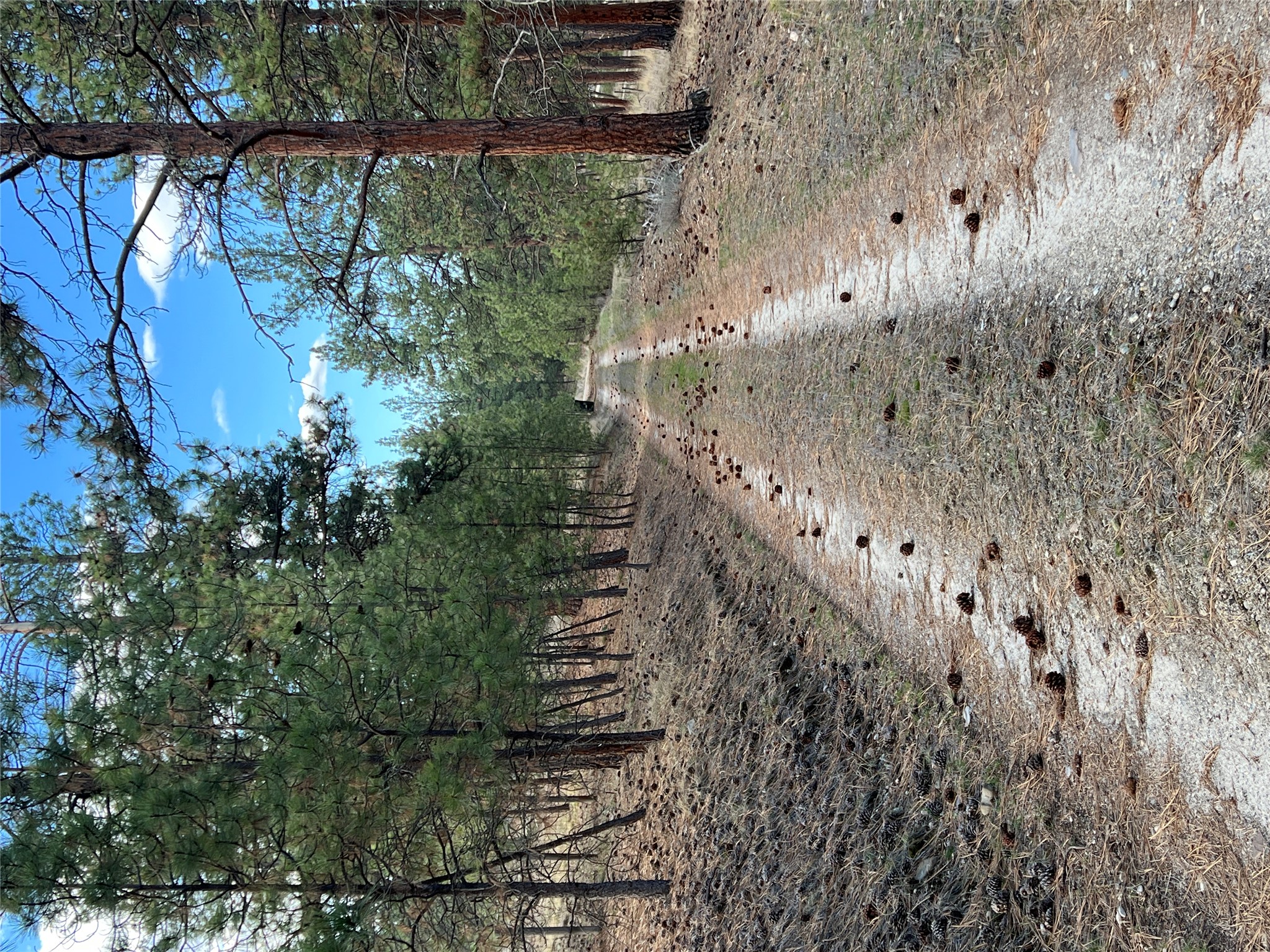 577 El Capitan Loop Property Photo 51