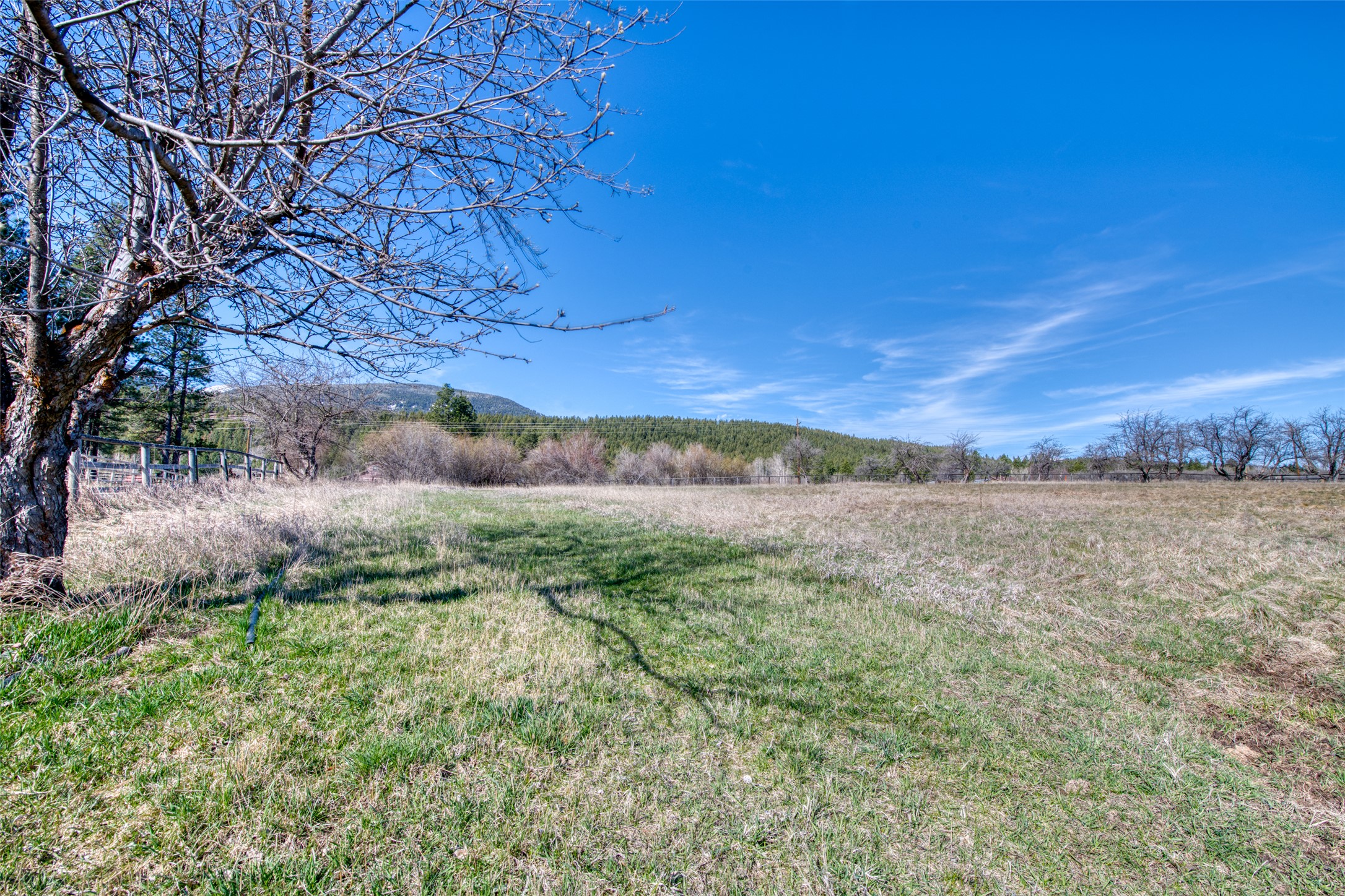 3544 Mcintosh Lane Property Photo 58