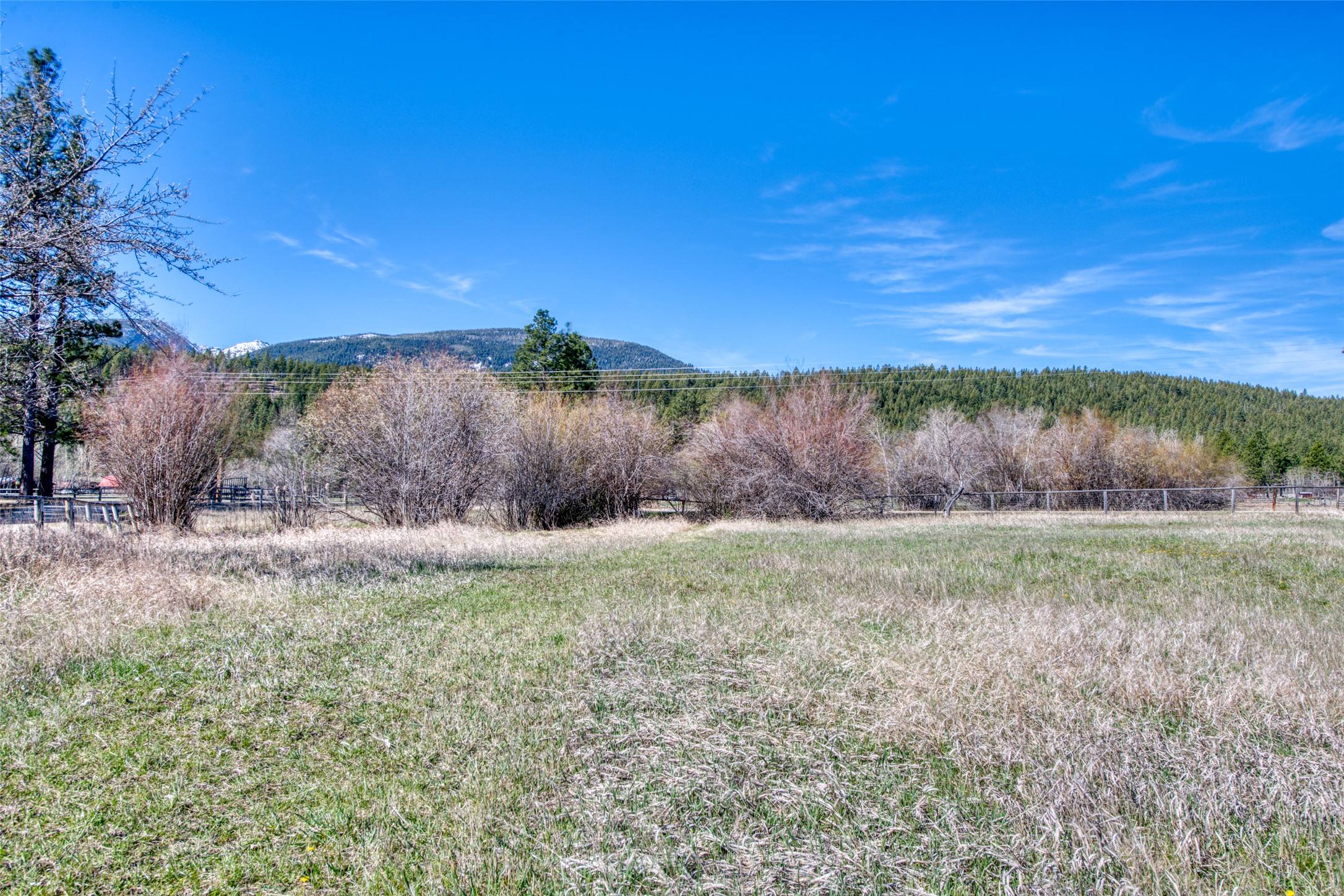 3544 Mcintosh Lane Property Photo 59