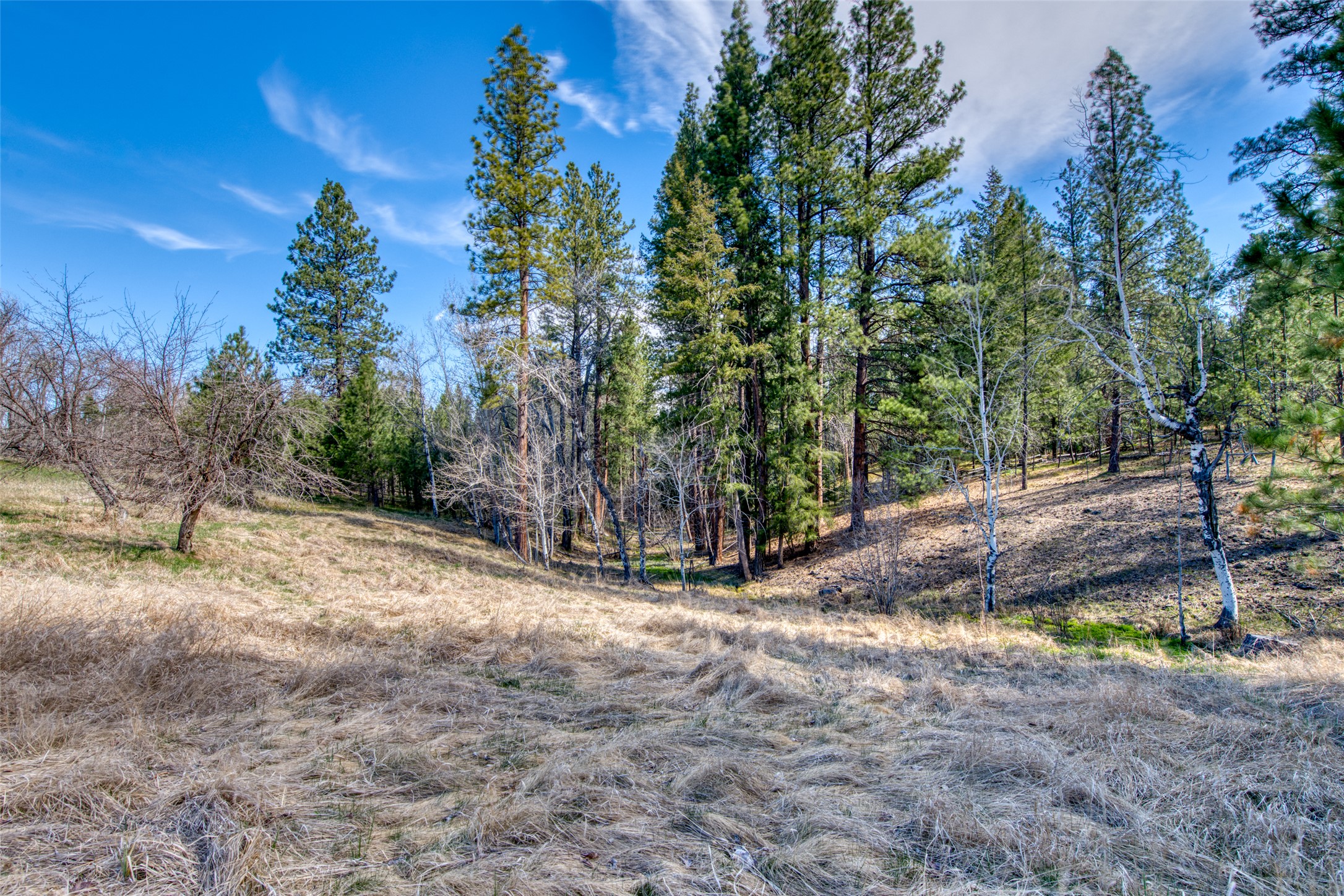 3544 Mcintosh Lane Property Photo 66