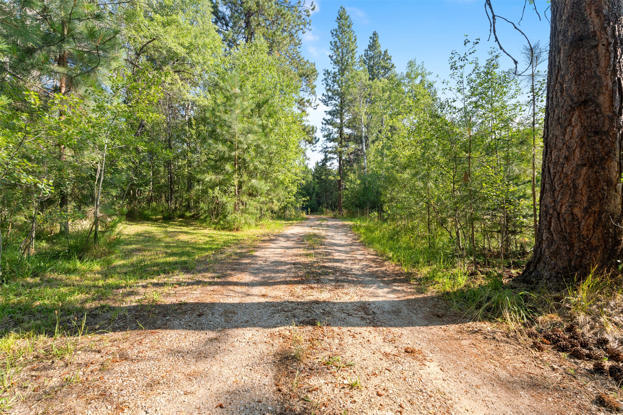510 Paradise Trail Property Photo 11