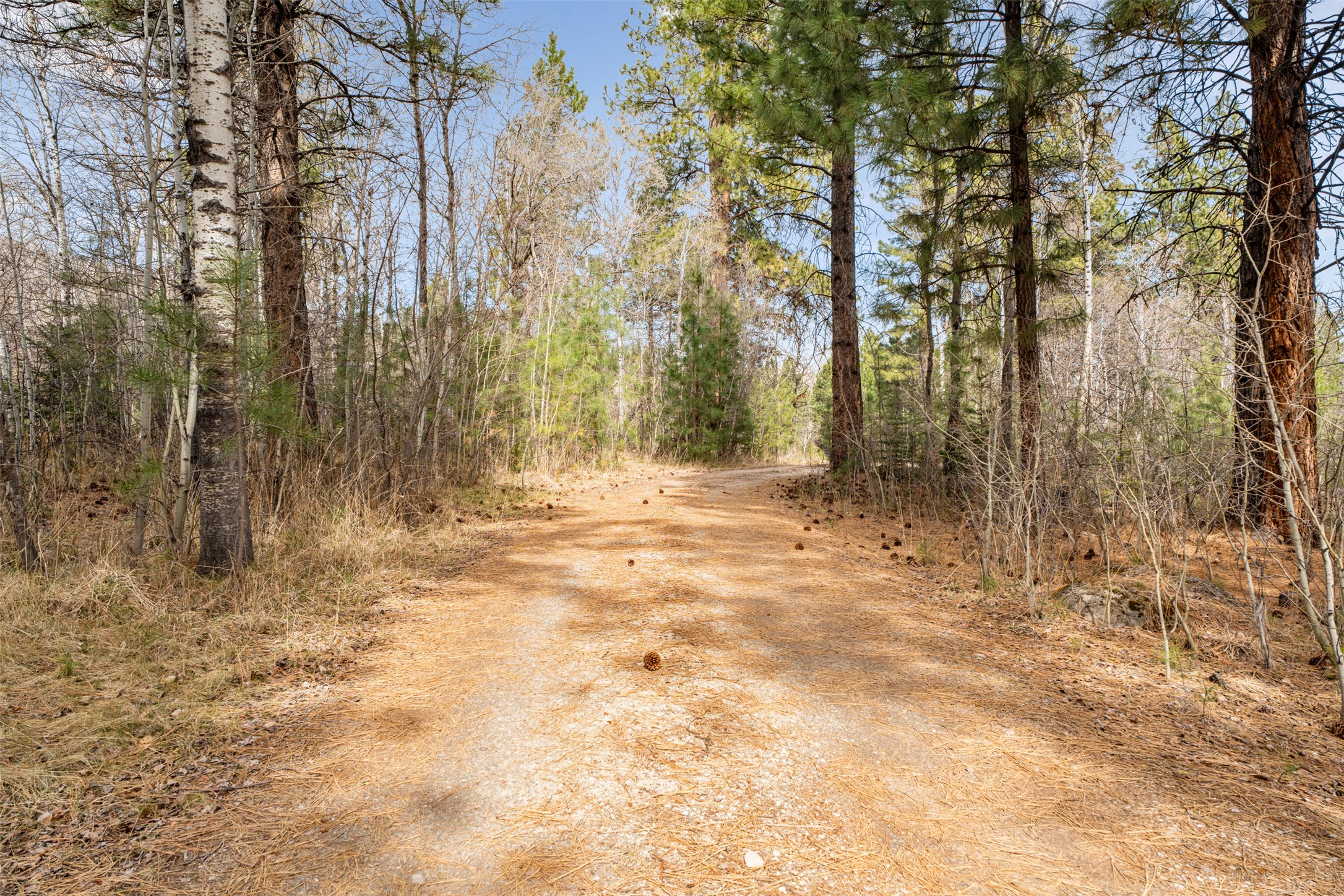 510 Paradise Trail Property Photo 46