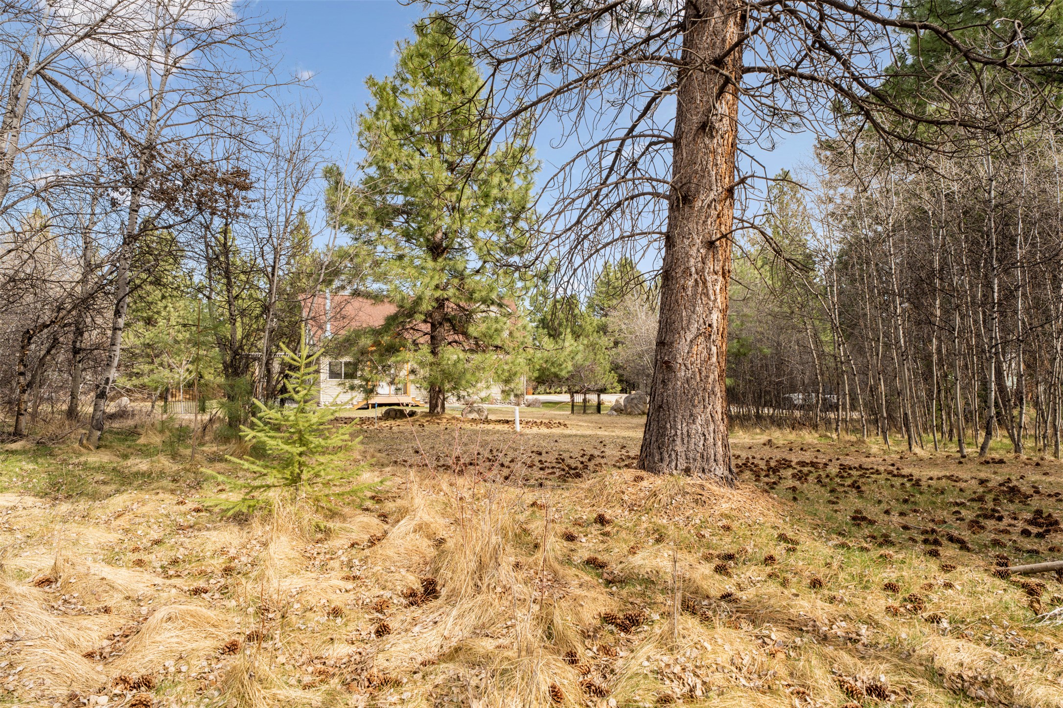 510 Paradise Trail Property Photo 48