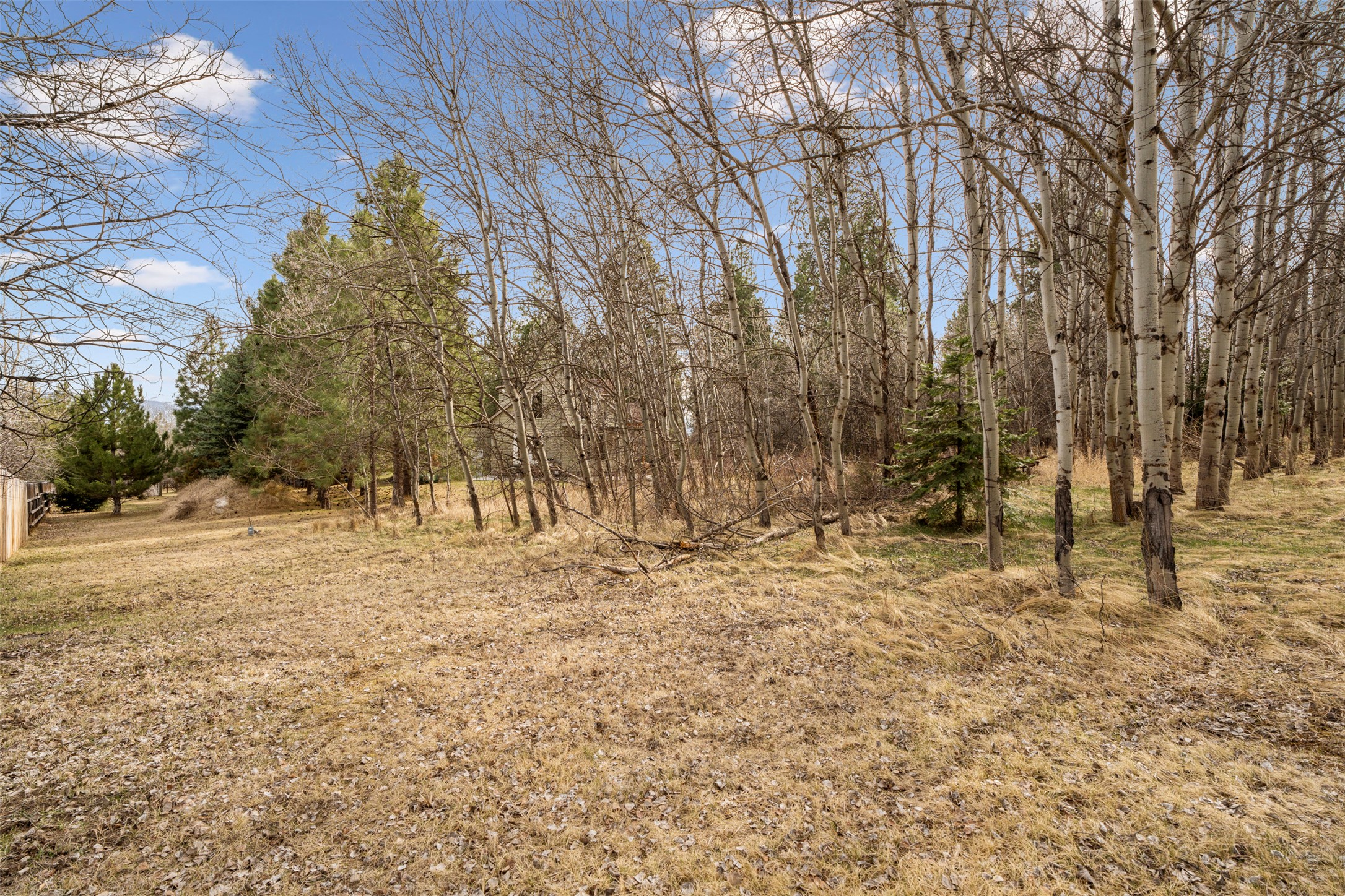 510 Paradise Trail Property Photo 49