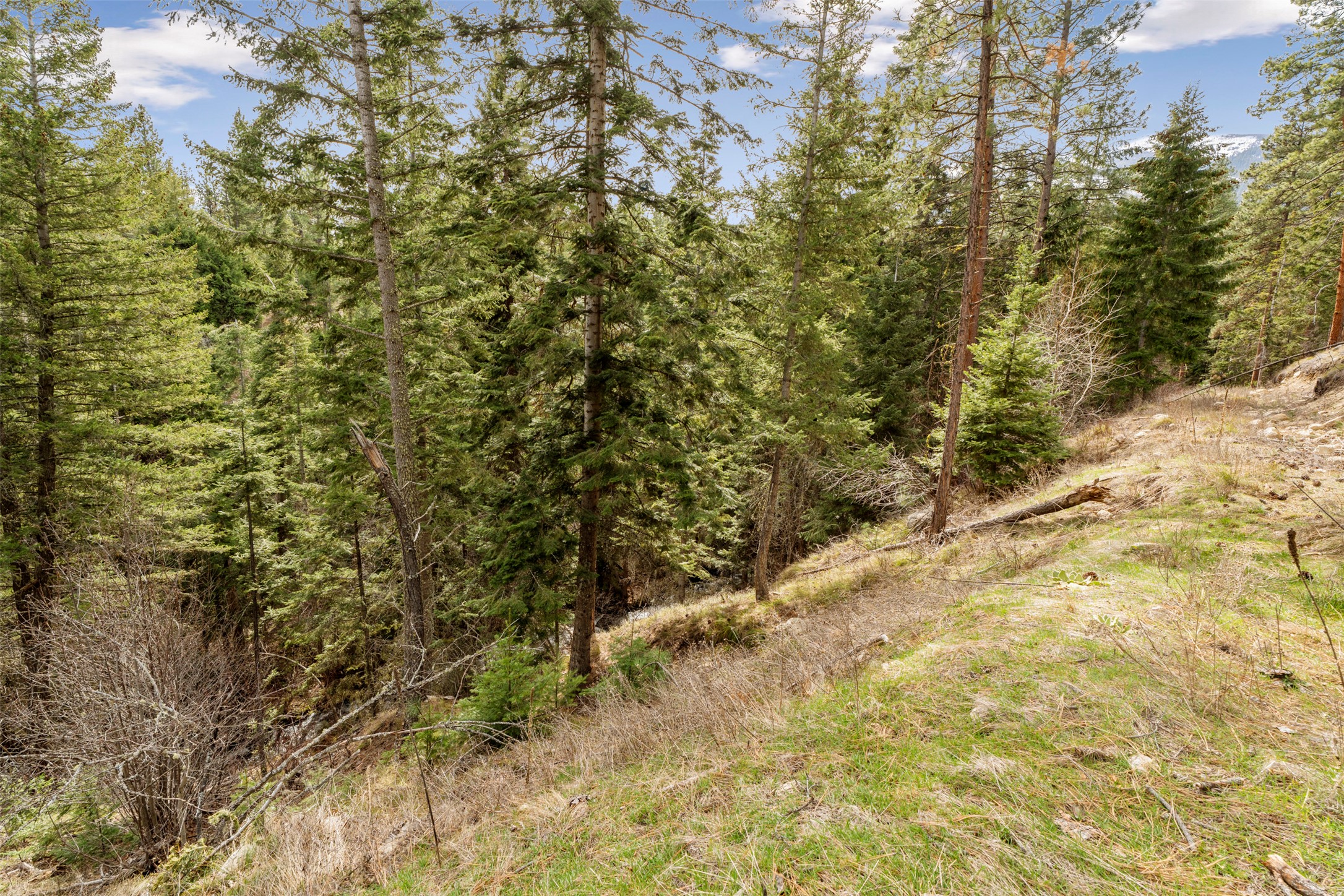 510 Paradise Trail Property Photo 51