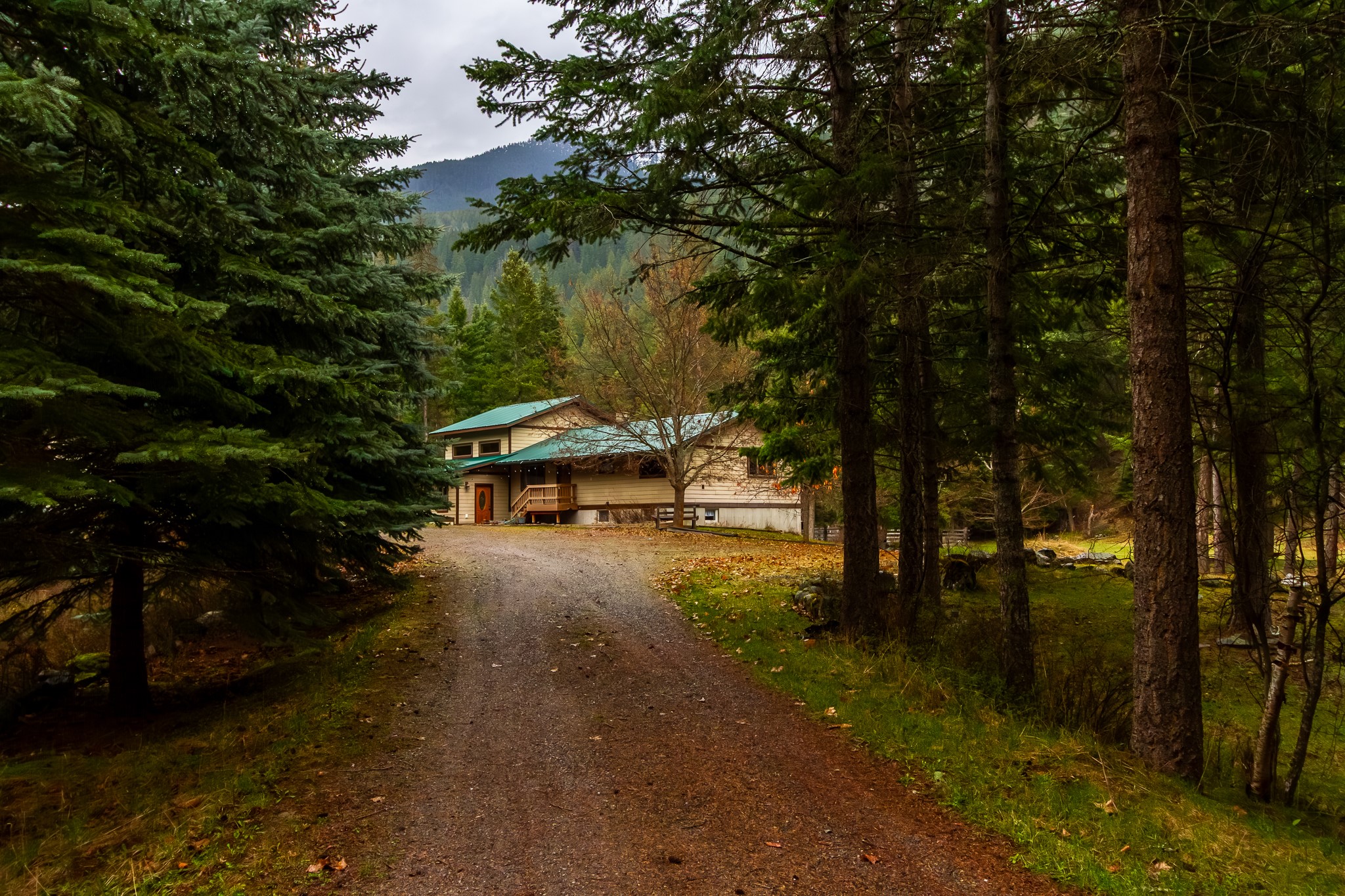 187 Blaine Mountain Road Property Photo 60