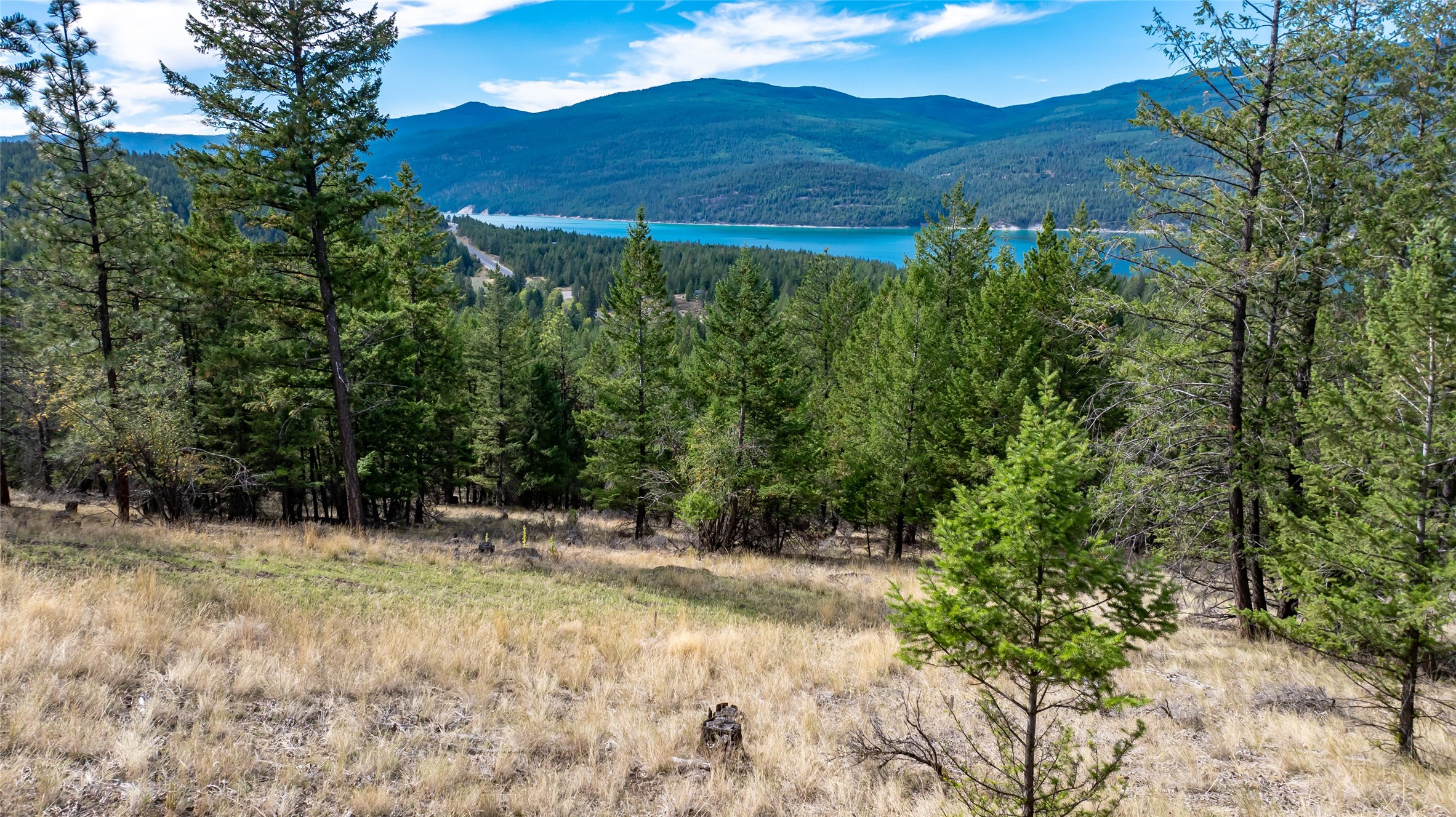 155 Lonesome Lane Property Photo 15