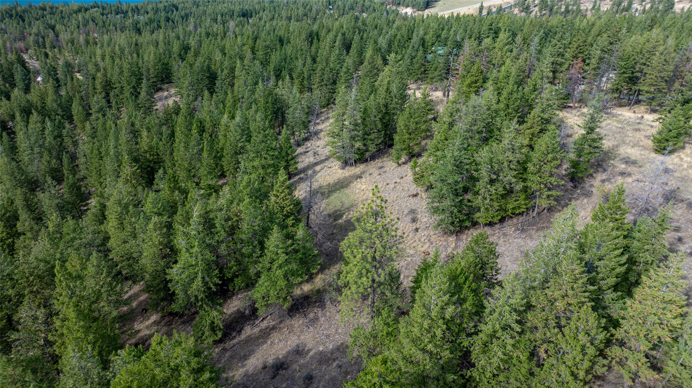 155 Lonesome Lane Property Photo 29