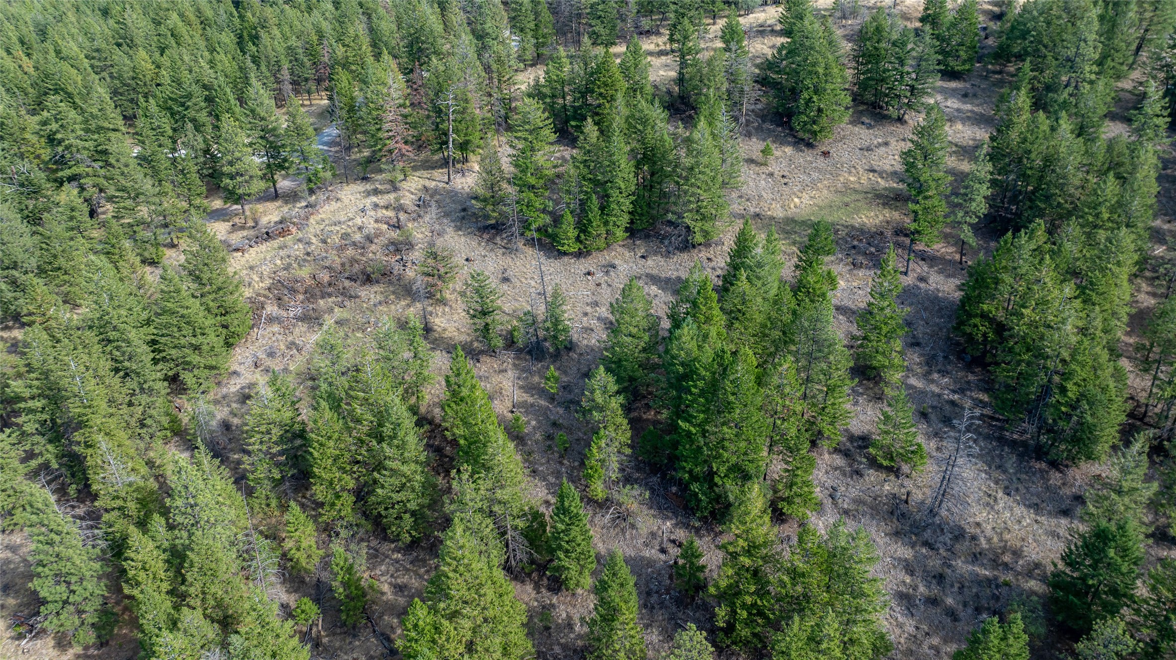 155 Lonesome Lane Property Photo 35