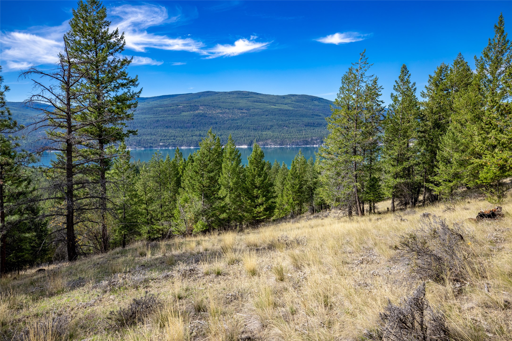 155 Lonesome Lane Property Photo 38