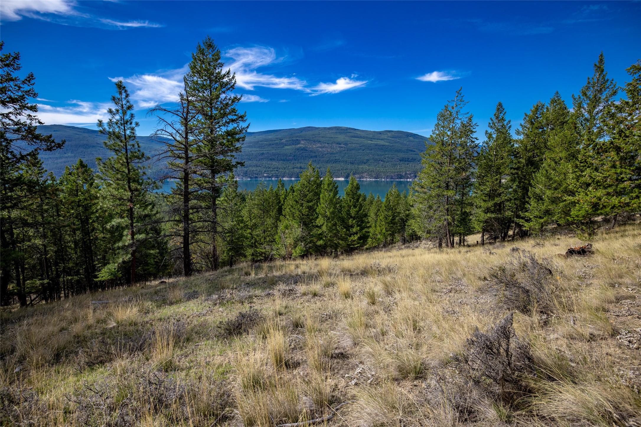 155 Lonesome Lane Property Photo 39