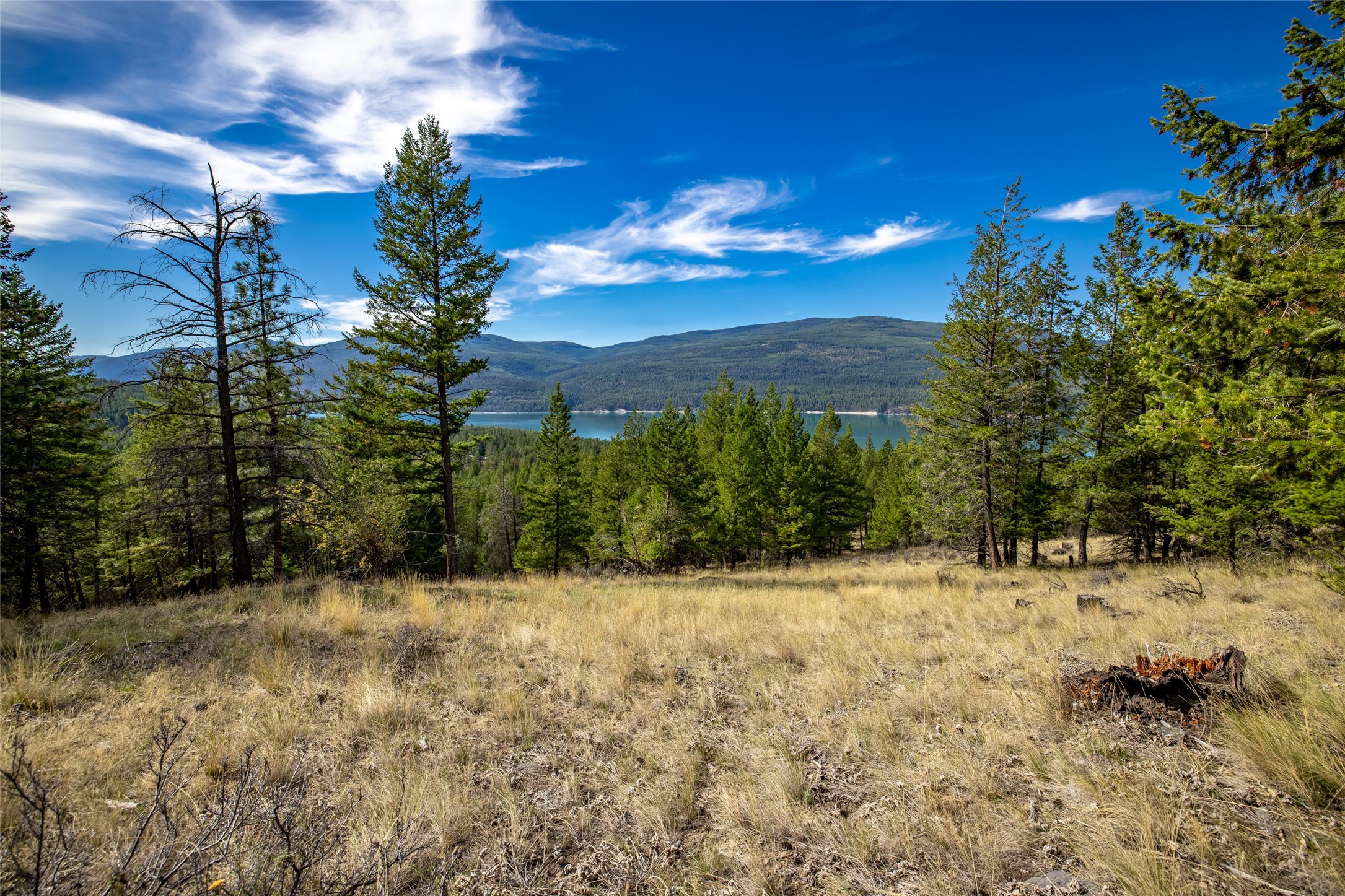 155 Lonesome Lane Property Photo 40