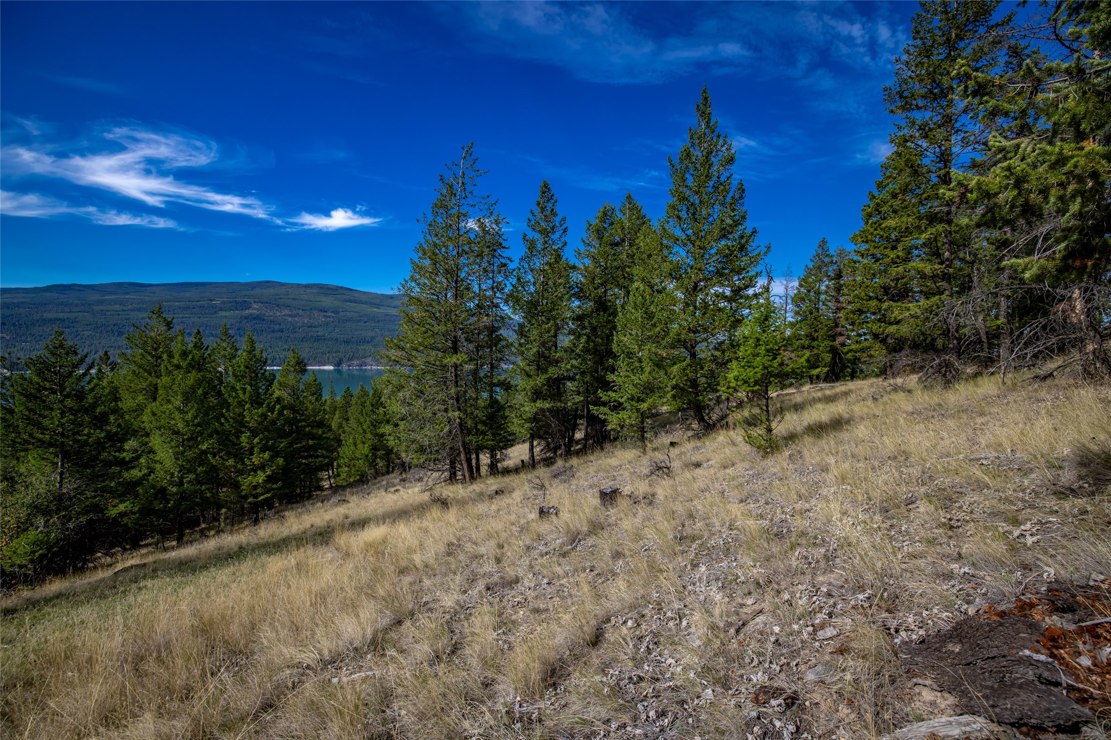 155 Lonesome Lane Property Photo 41