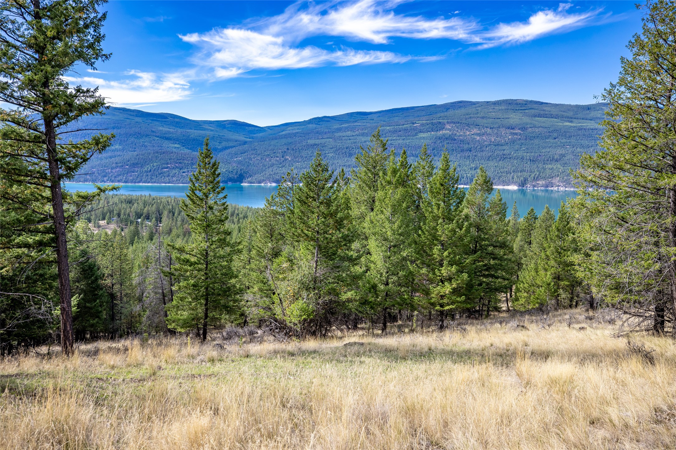 155 Lonesome Lane Property Photo 42