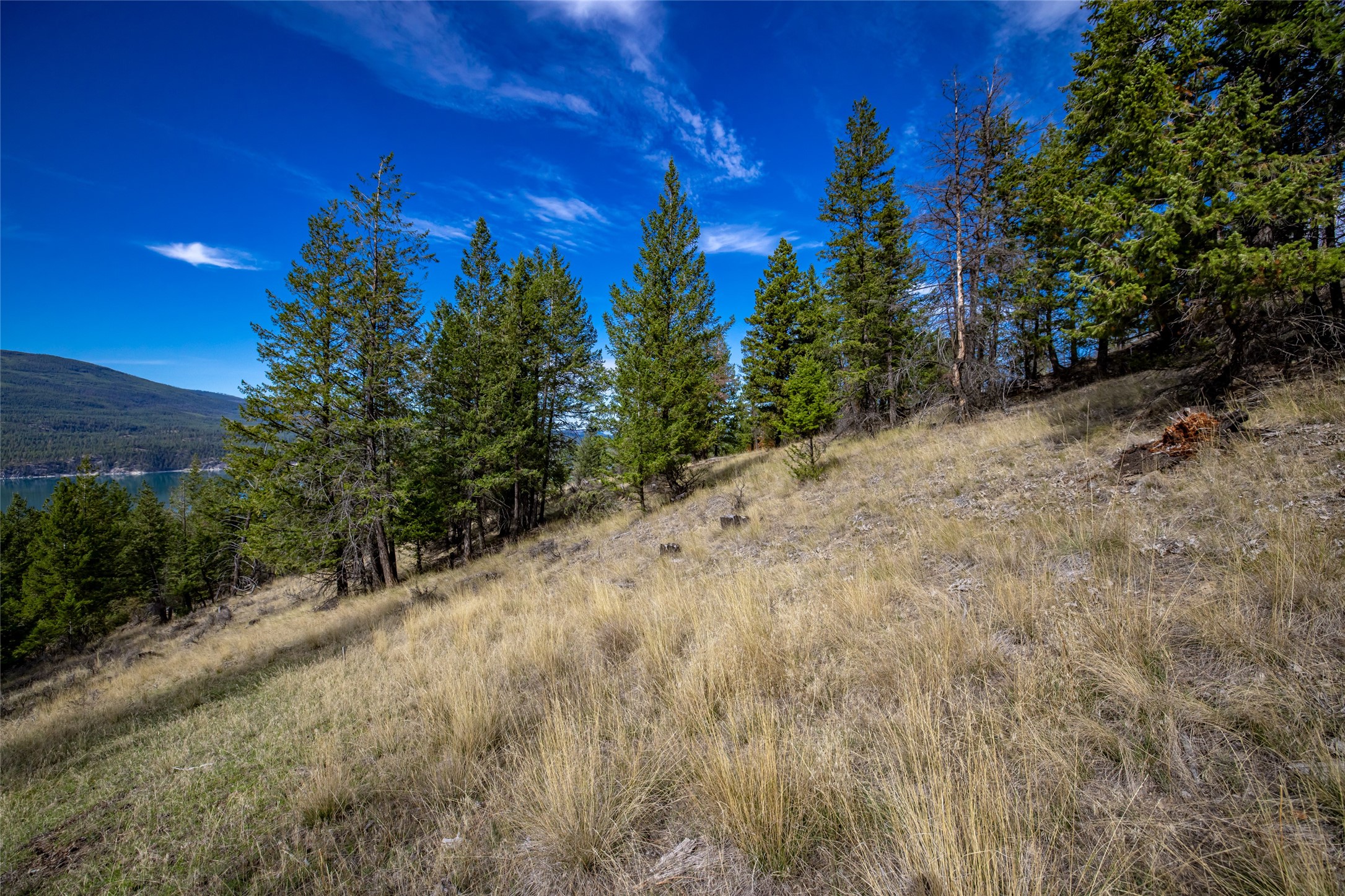 155 Lonesome Lane Property Photo 43