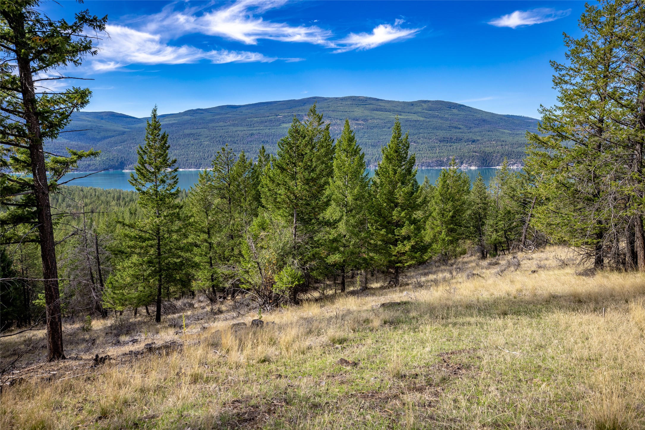155 Lonesome Lane Property Photo 44
