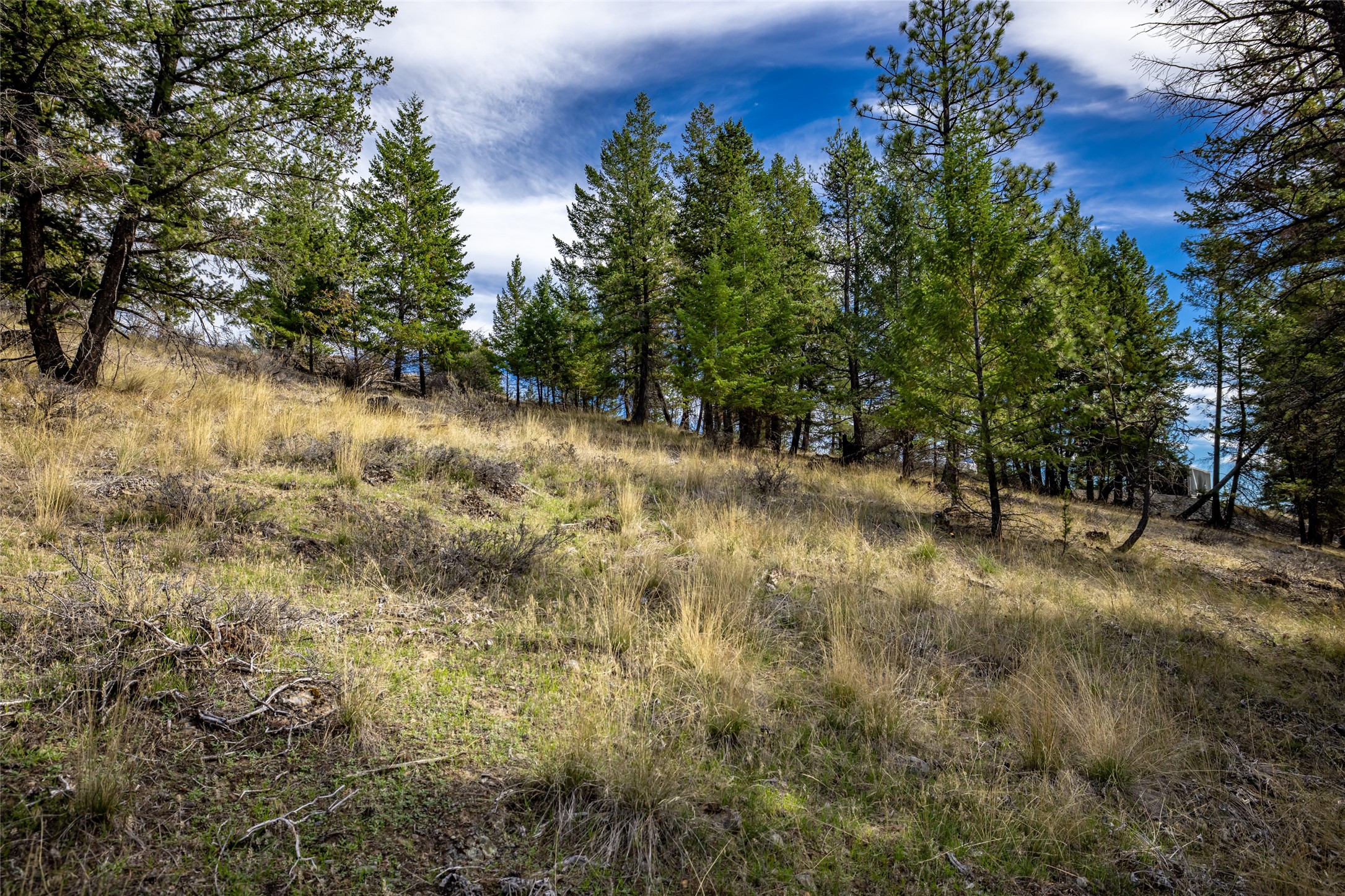 155 Lonesome Lane Property Photo 45