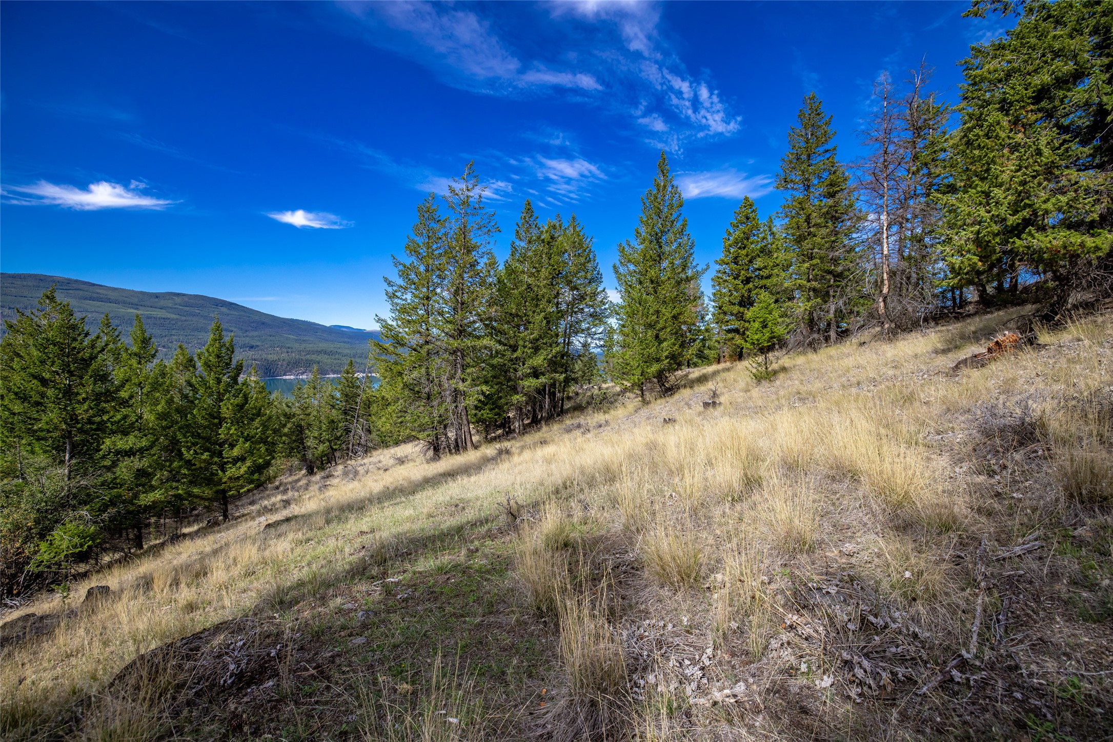 155 Lonesome Lane Property Photo 46