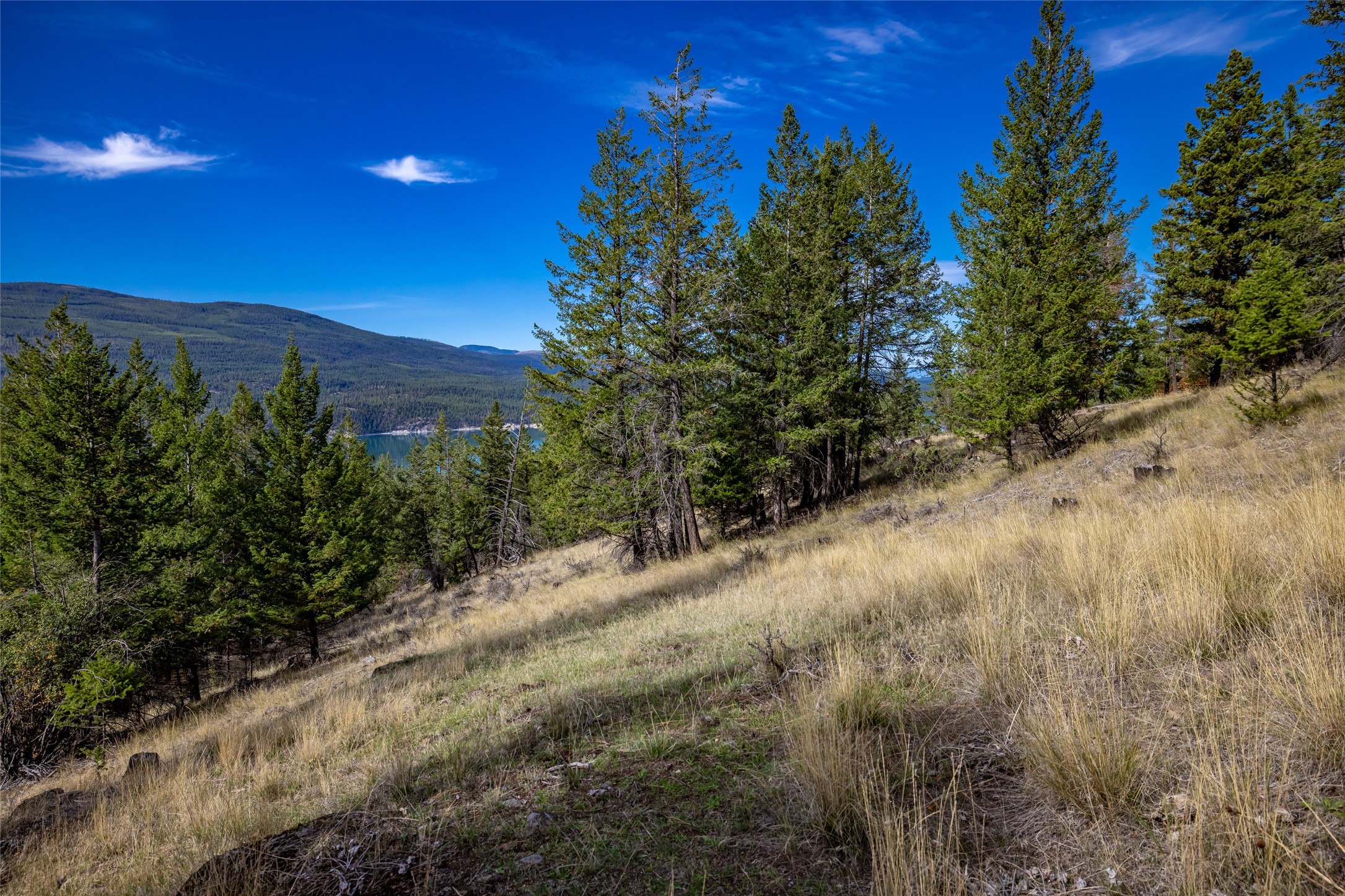155 Lonesome Lane Property Photo 47