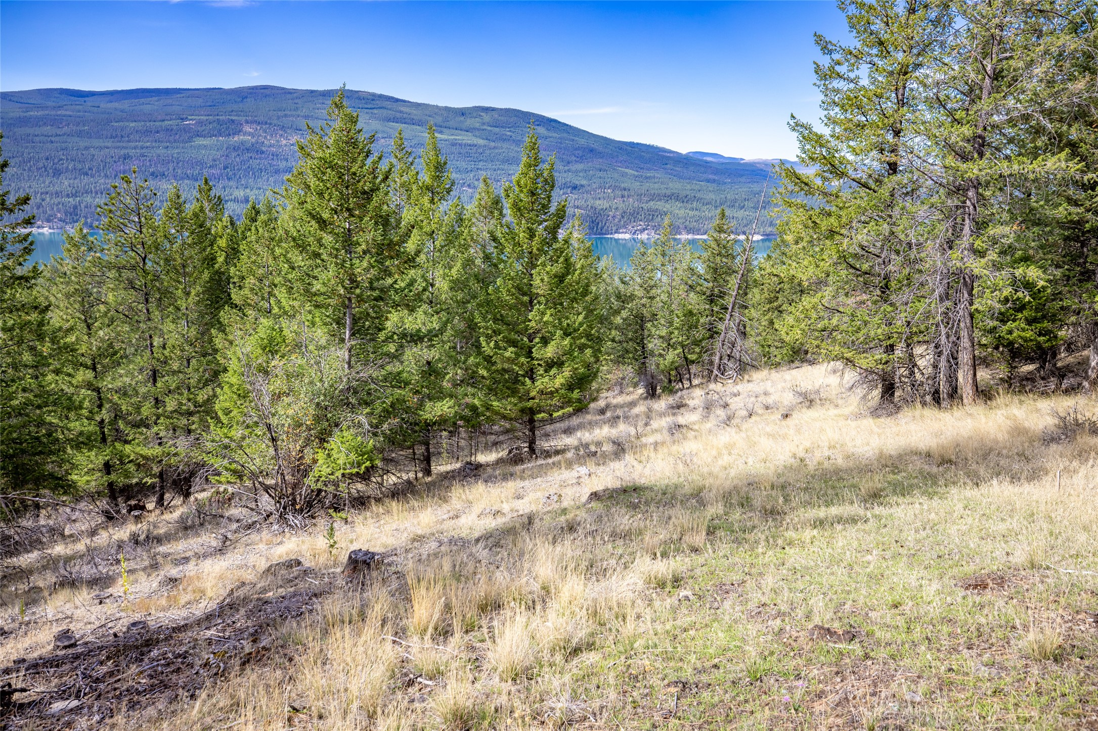 155 Lonesome Lane Property Photo 48