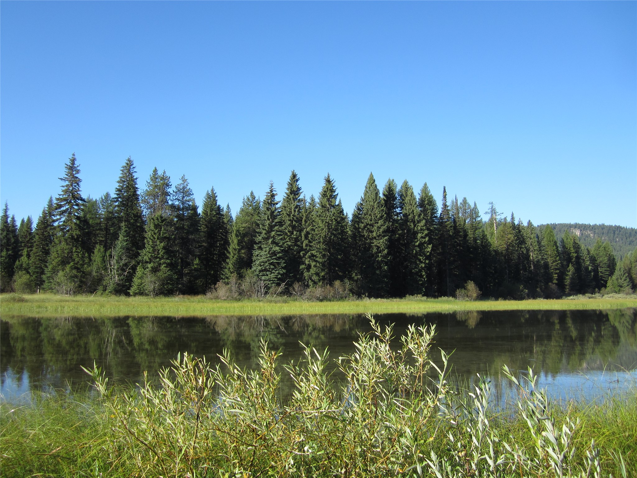 9705 Us Highway 93 N Property Photo 33