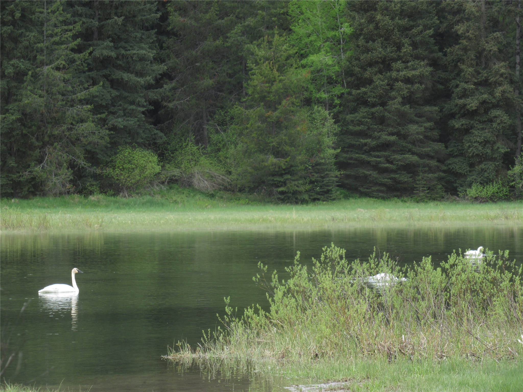 9705 Us Highway 93 N Property Photo 64