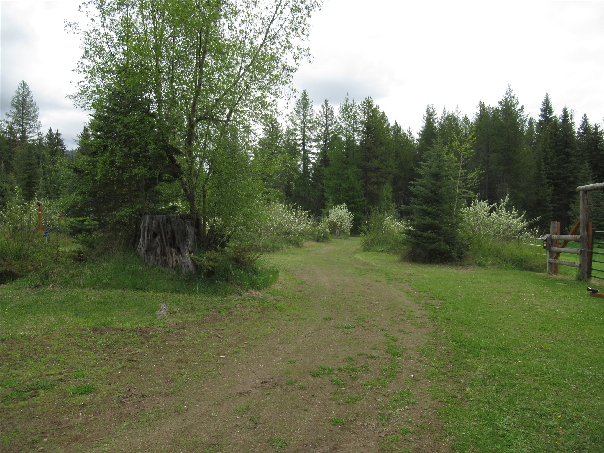 9705 Us Highway 93 N Property Photo 66