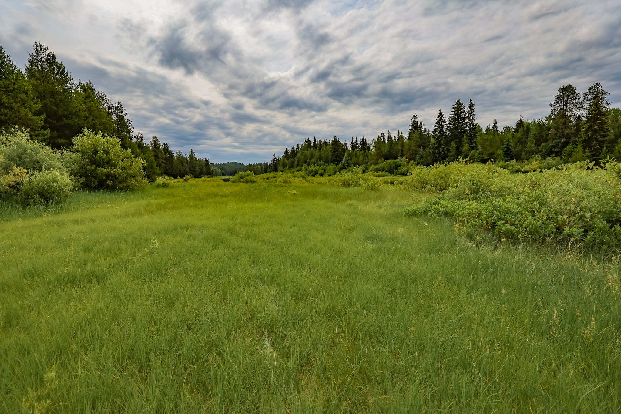 9705 Us Highway 93 N Property Photo 82